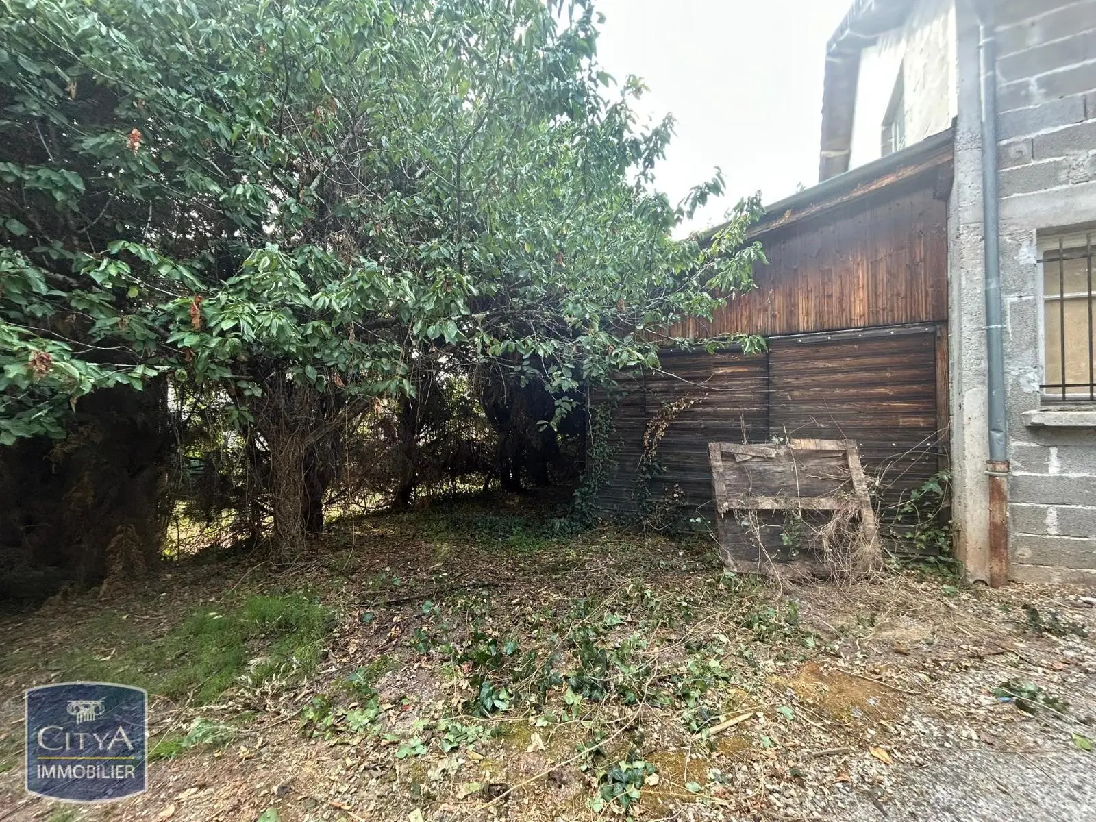 Photo 3 Local Commercial 116.52m²