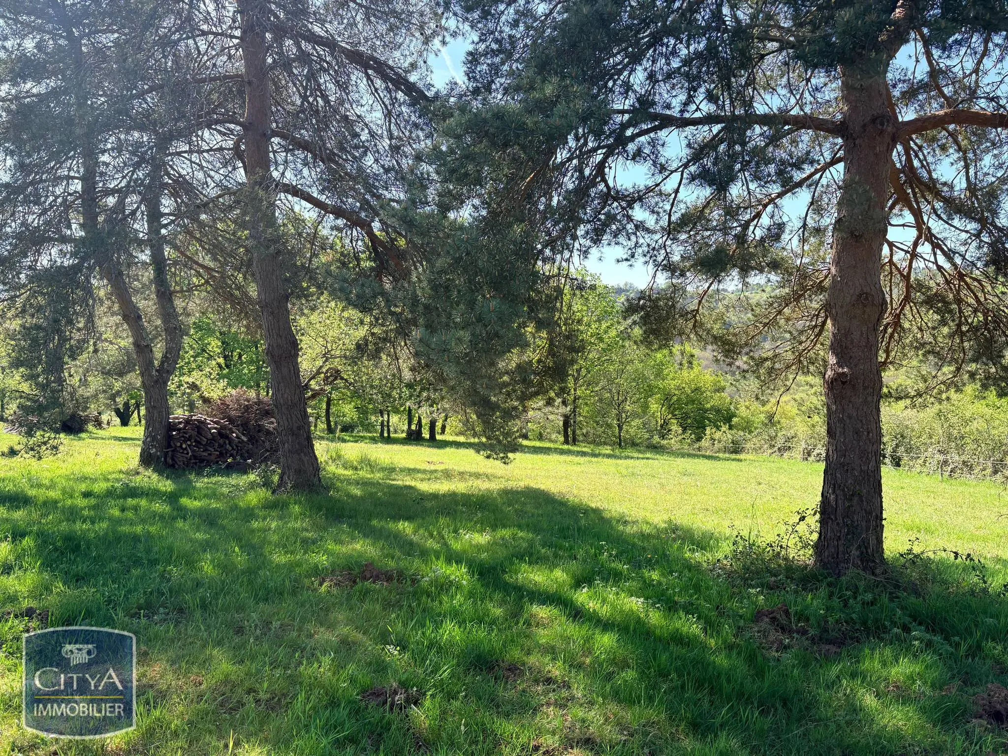 Photo 4 Terrain