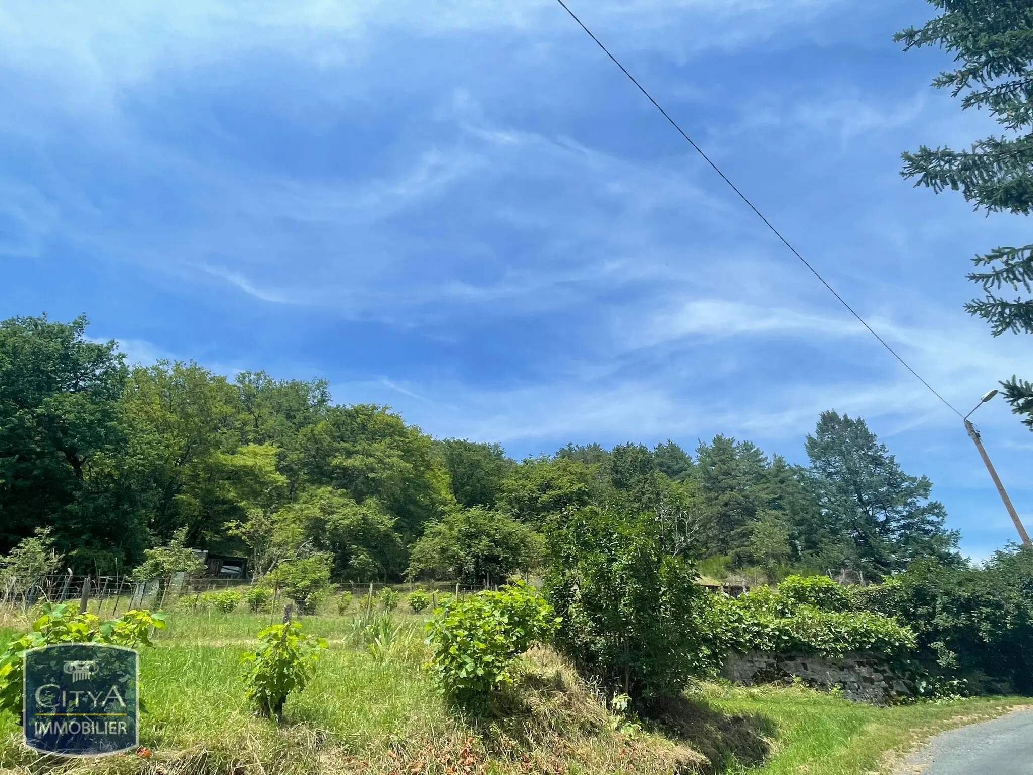 Photo 1 Terrain