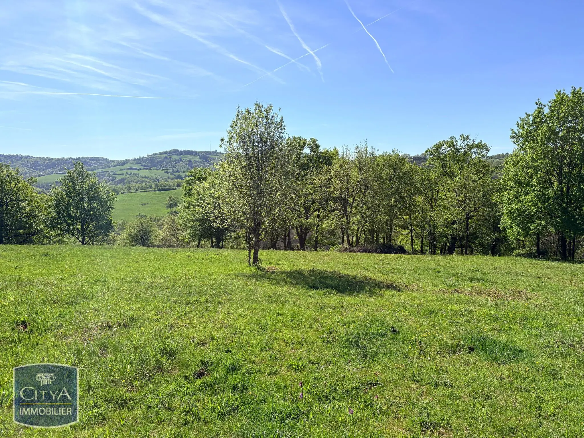 Photo 2 Terrain