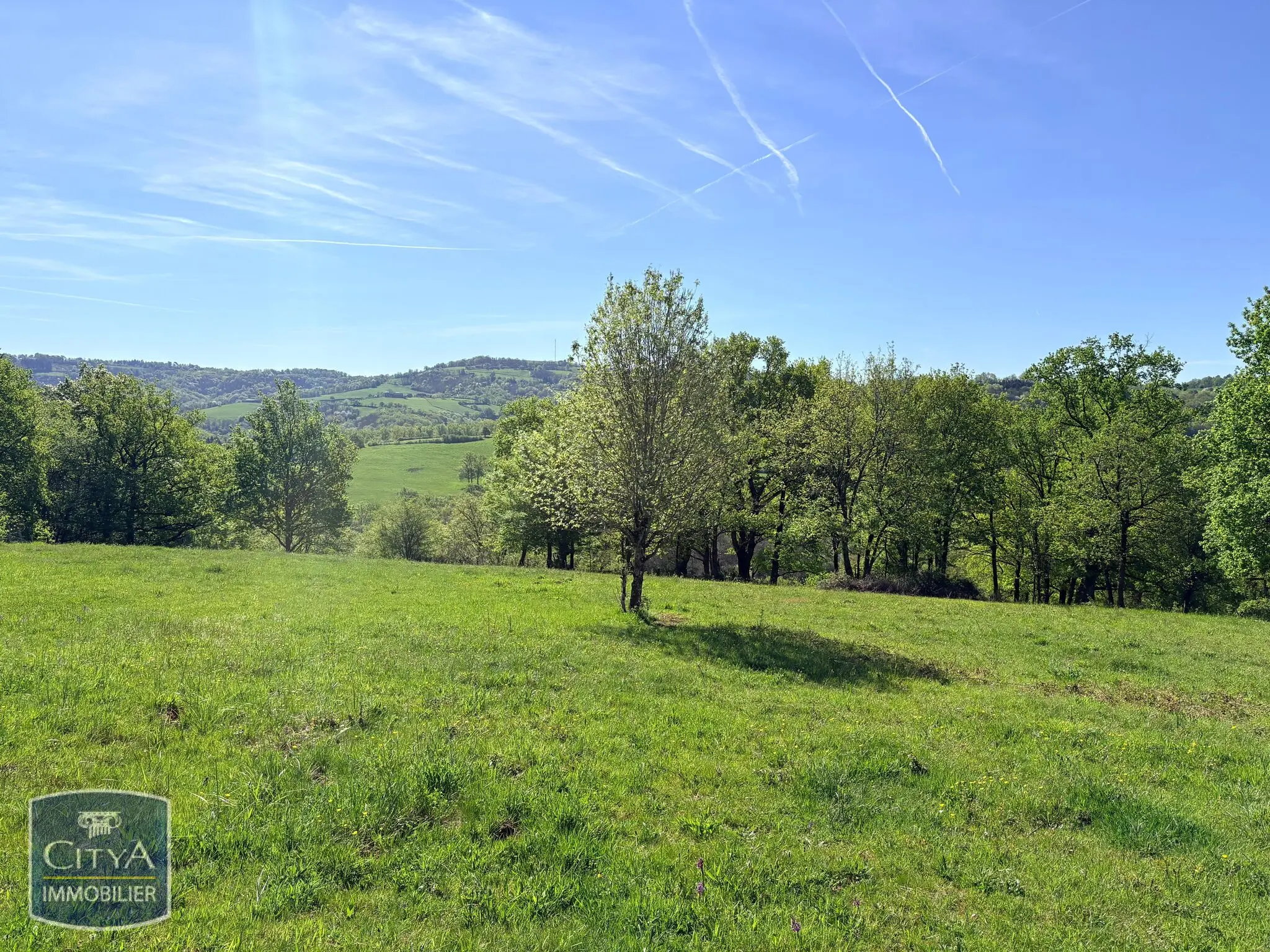 Photo 6 Terrain