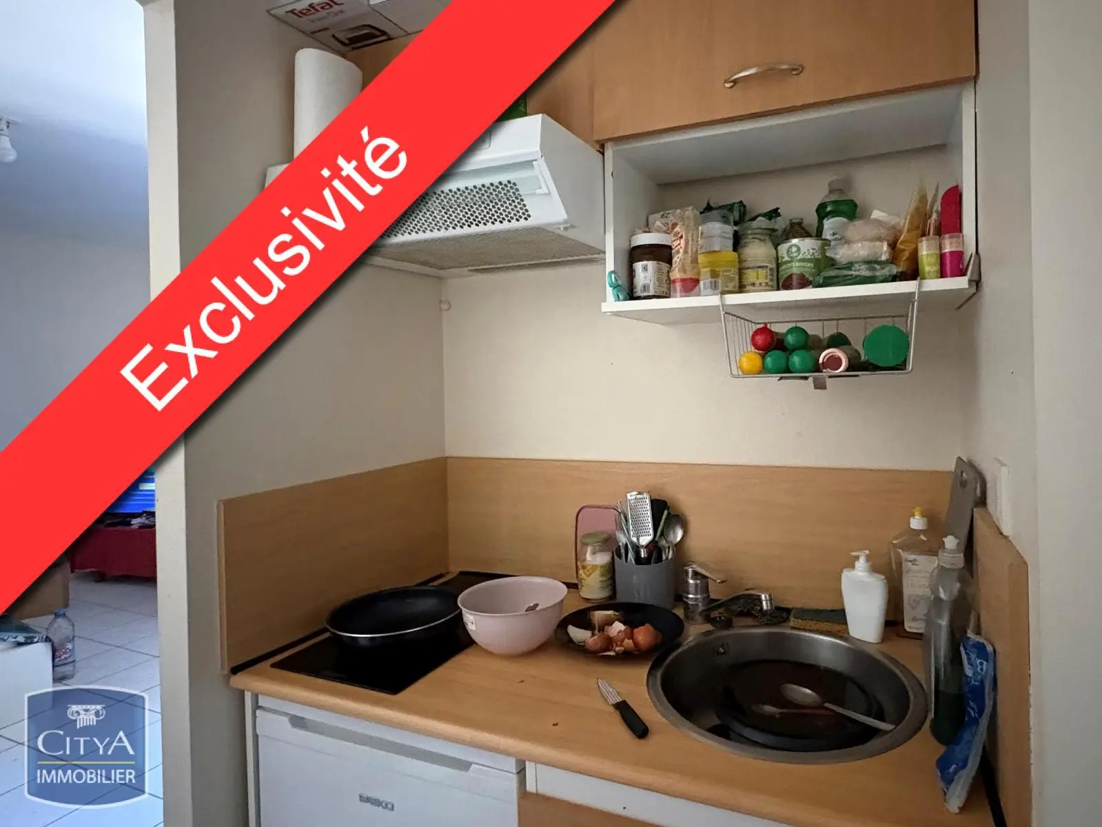 Photo 3 Appartement 1 pièce 24m²