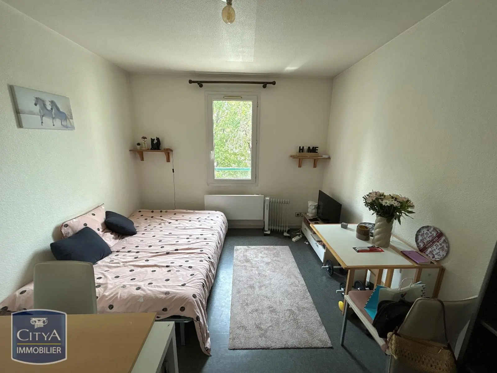 Photo 1 Appartement 1 pièce 19.46m²