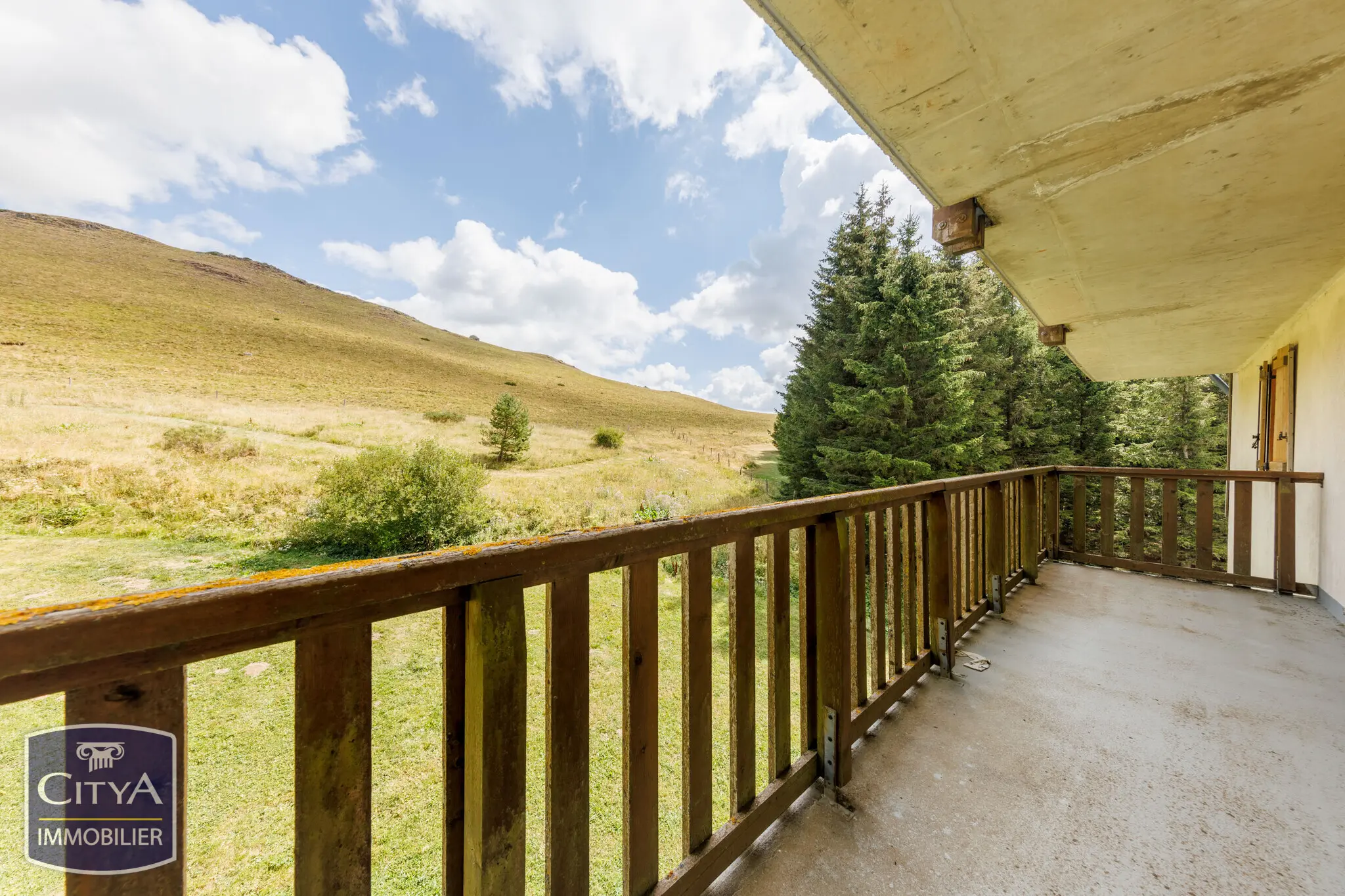Photo 5 appartement Besse-et-Saint-Anastaise