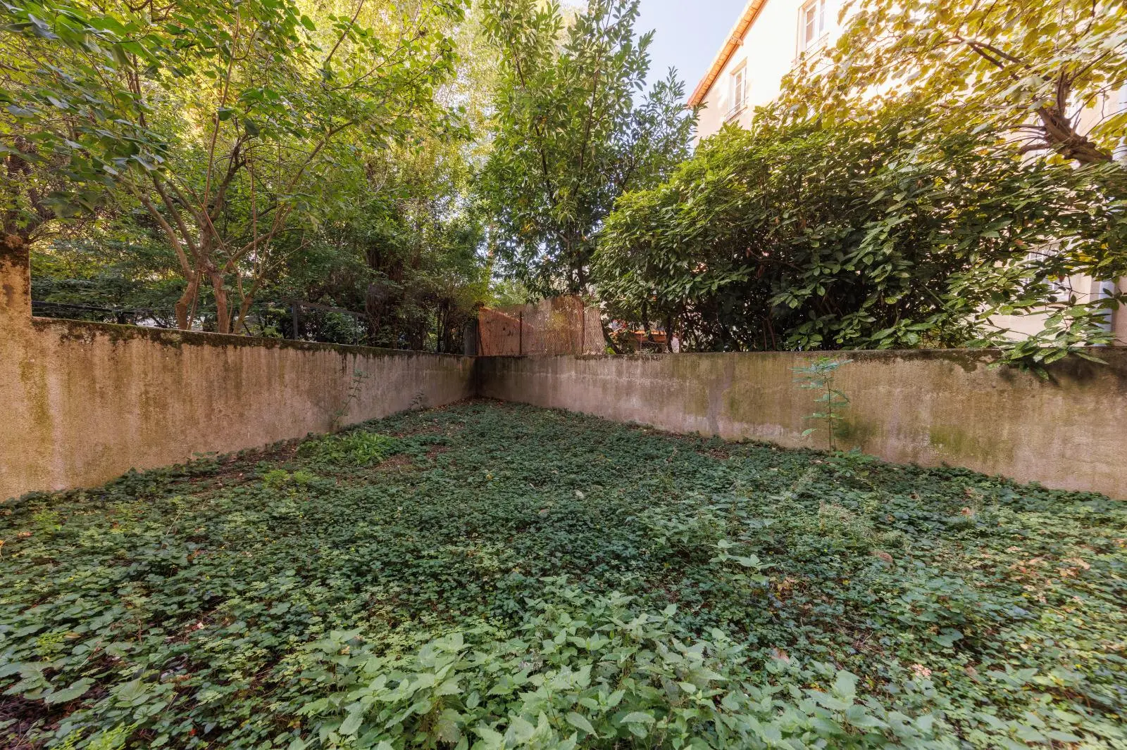 Photo 8 Immeuble 222m²