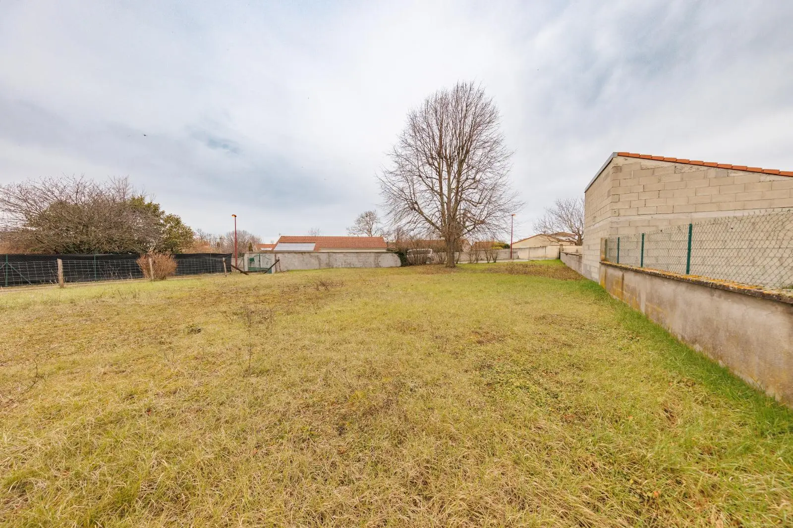 Photo 4 Terrain 445m²