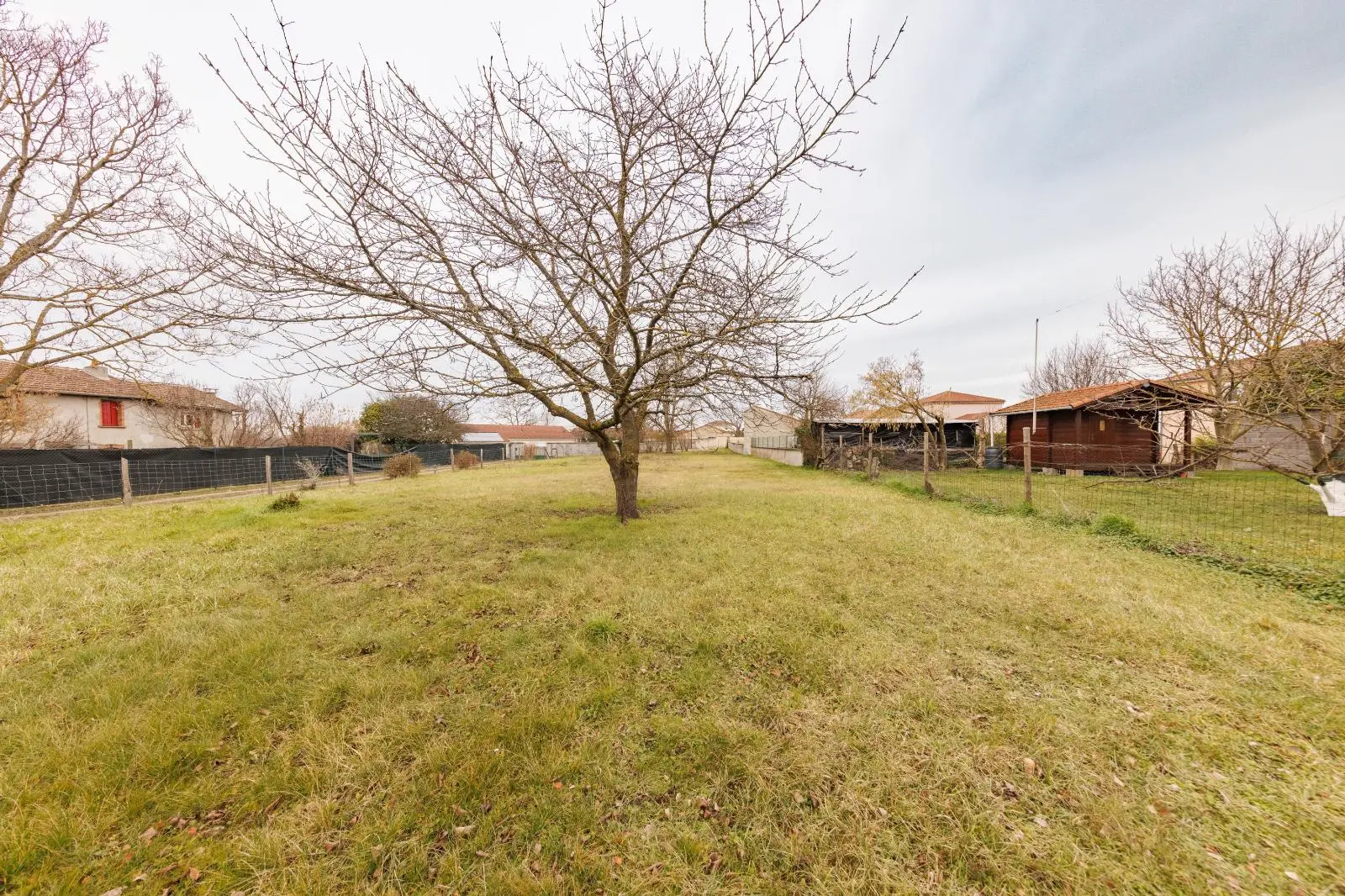 Photo 10 Terrain 445m²