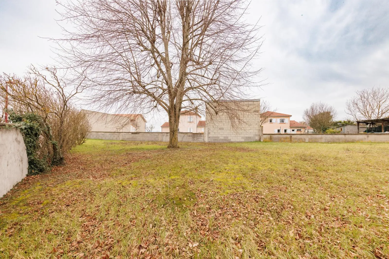 Photo 12 Terrain 445m²