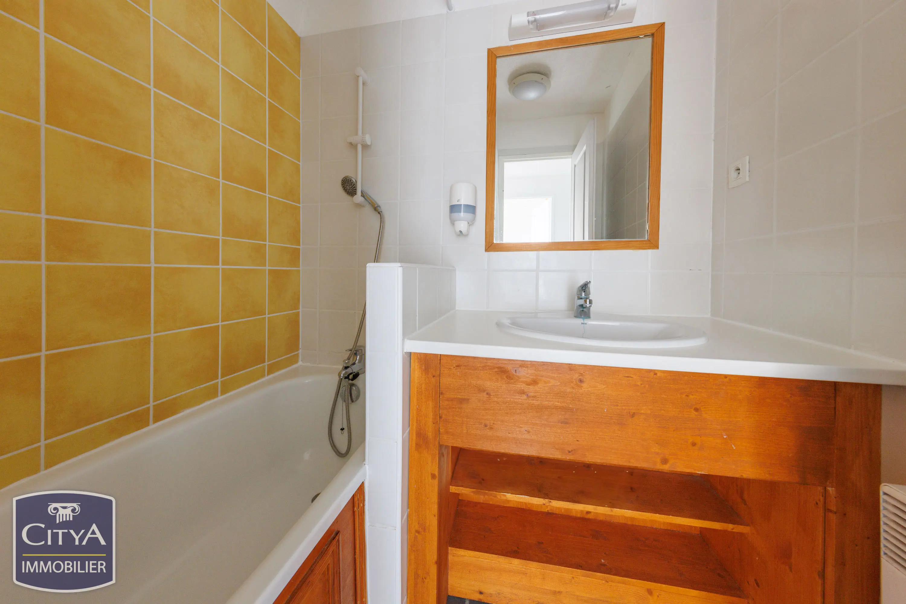 Photo 6 appartement Besse-et-Saint-Anastaise