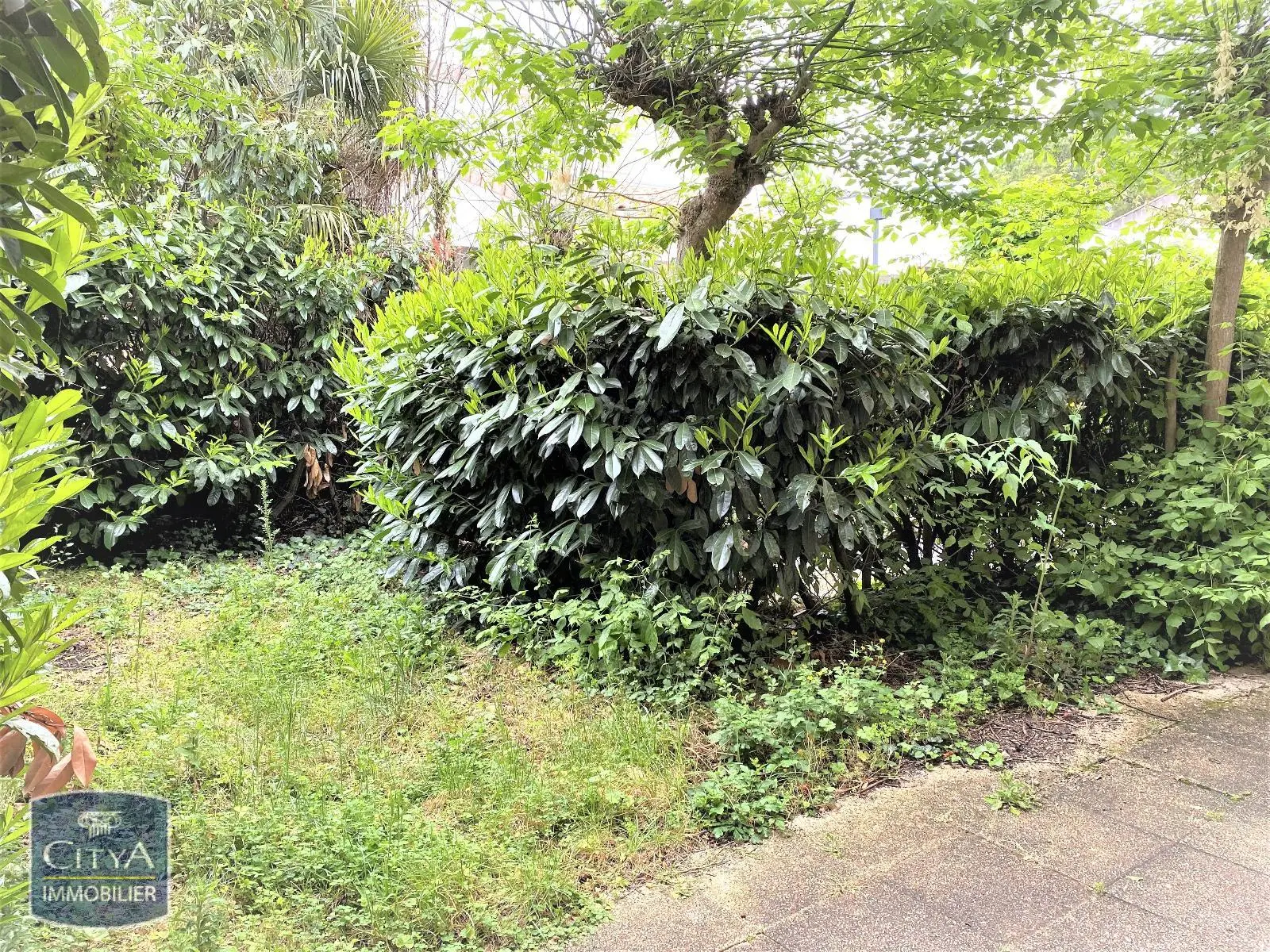 Photo 3 appartement Toulouse