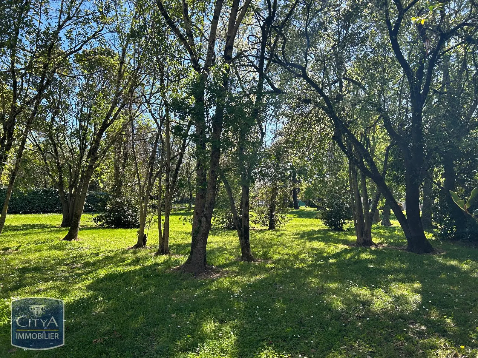 Photo 6 Appartement 1 pièce 35.08m²