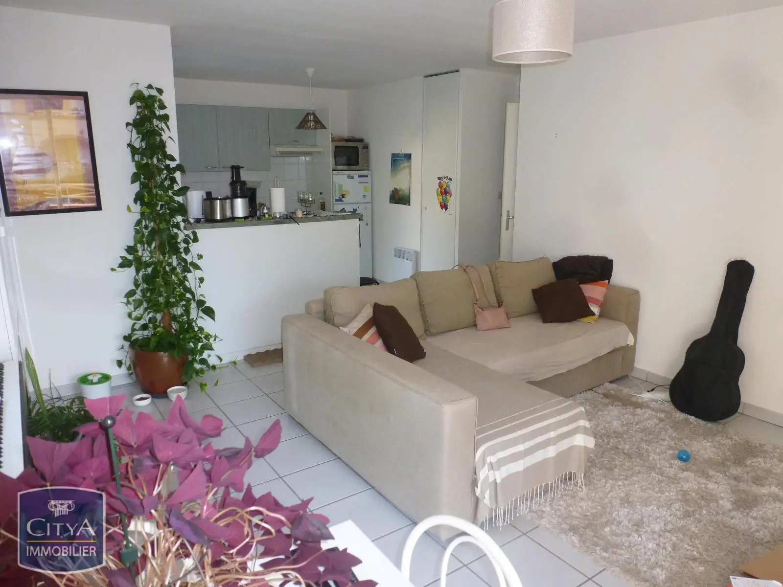 Photo 3 appartement Colomiers