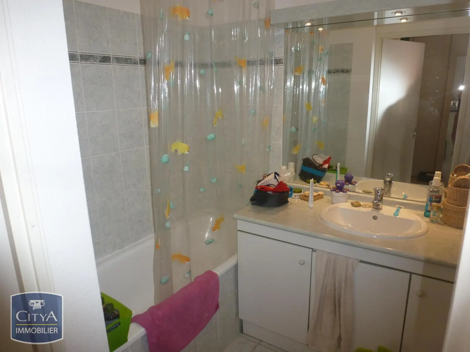 Photo 4 appartement Colomiers