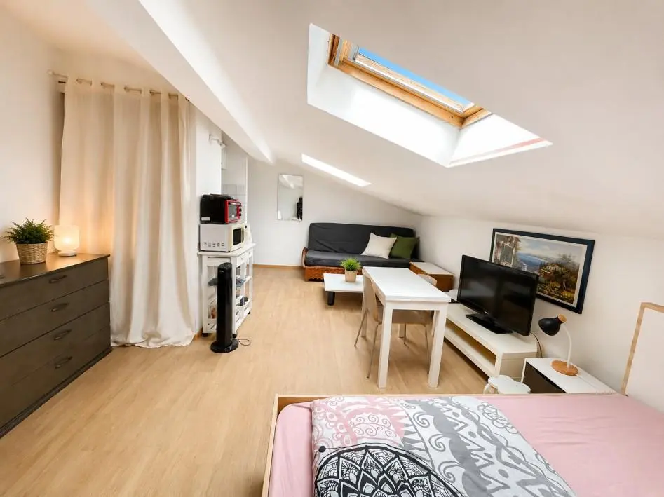 Photo 1 Appartement 1 pièce 25.24m²