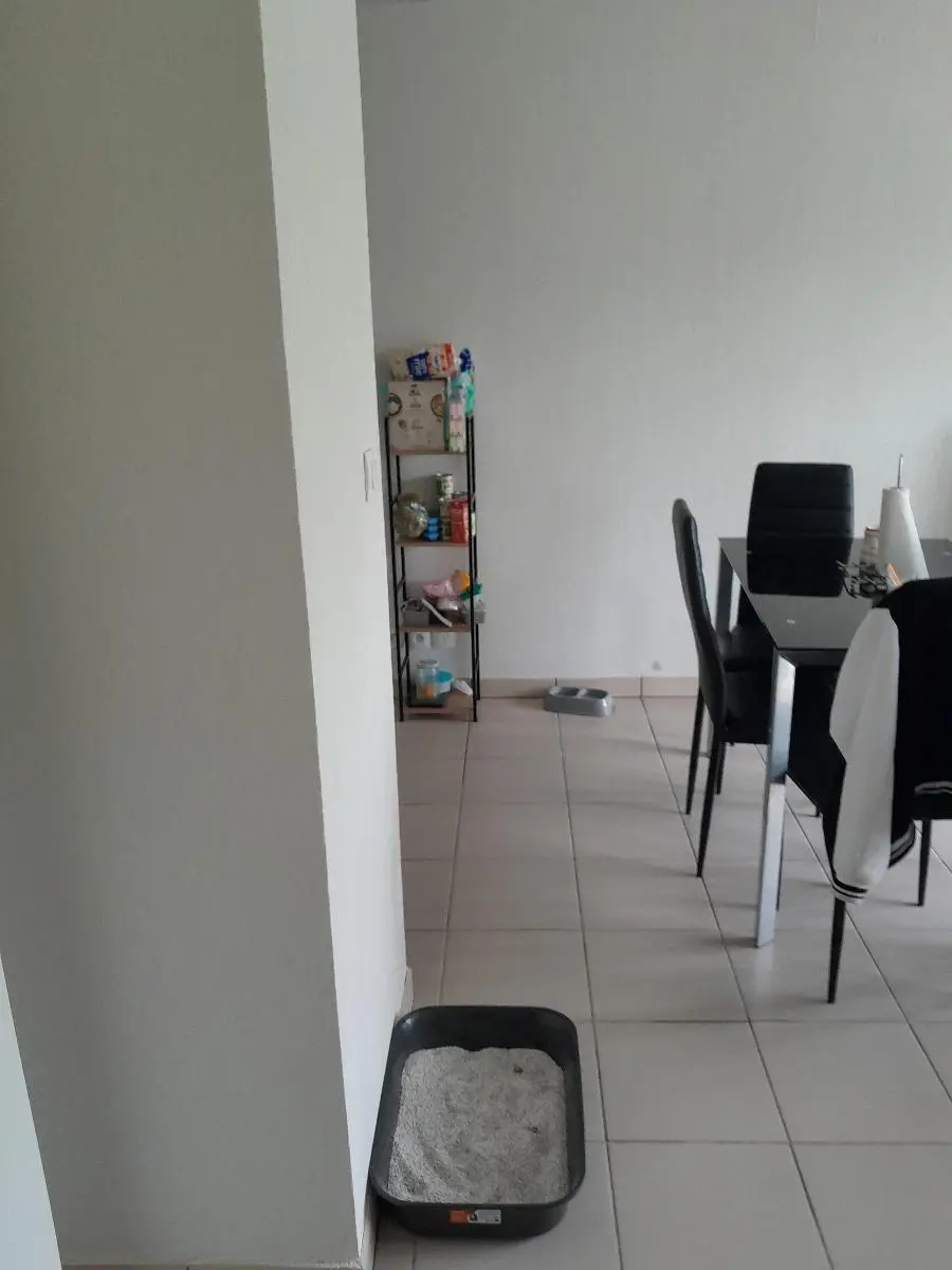 Photo 9 Appartement 2 pièces 42m²