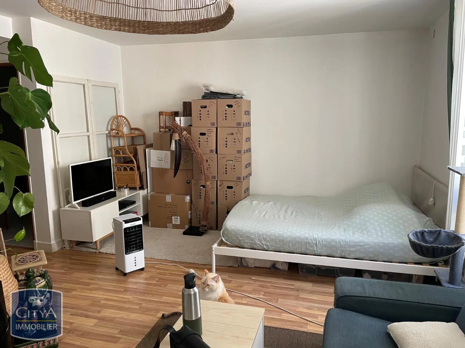 Photo 11 Appartement 1 pièce 32m²