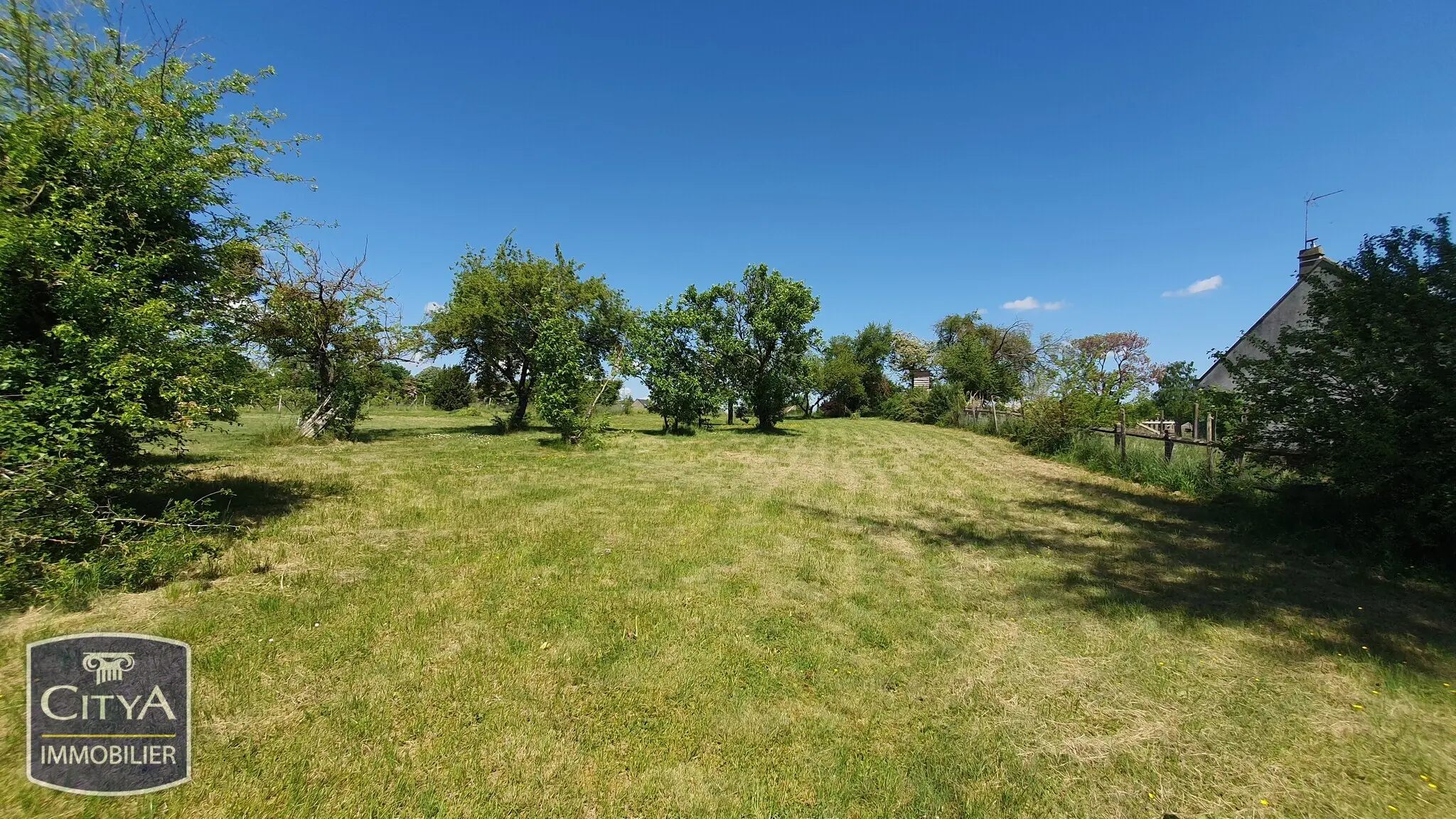 Photo 10 Terrain