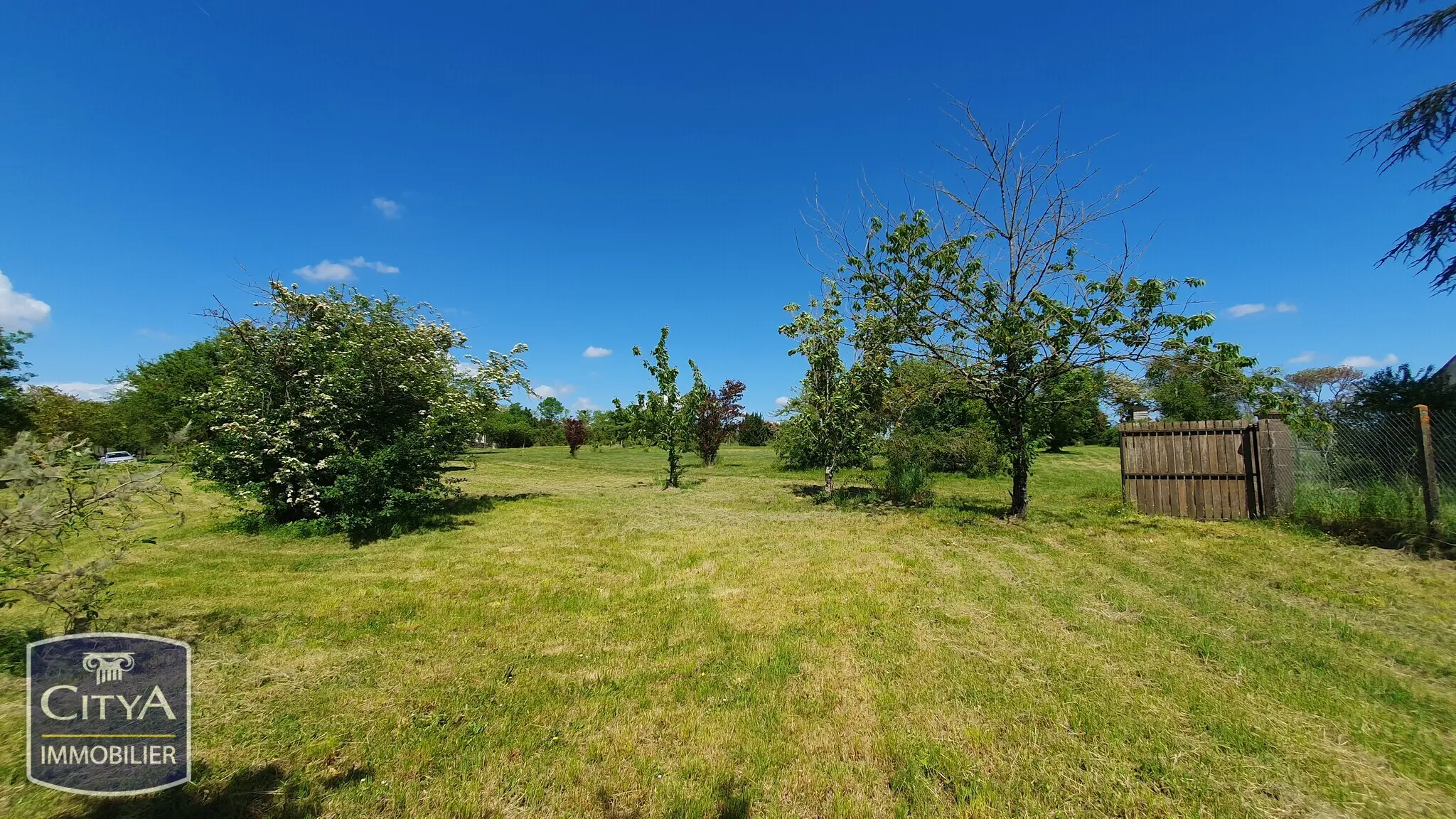 Photo 9 Terrain