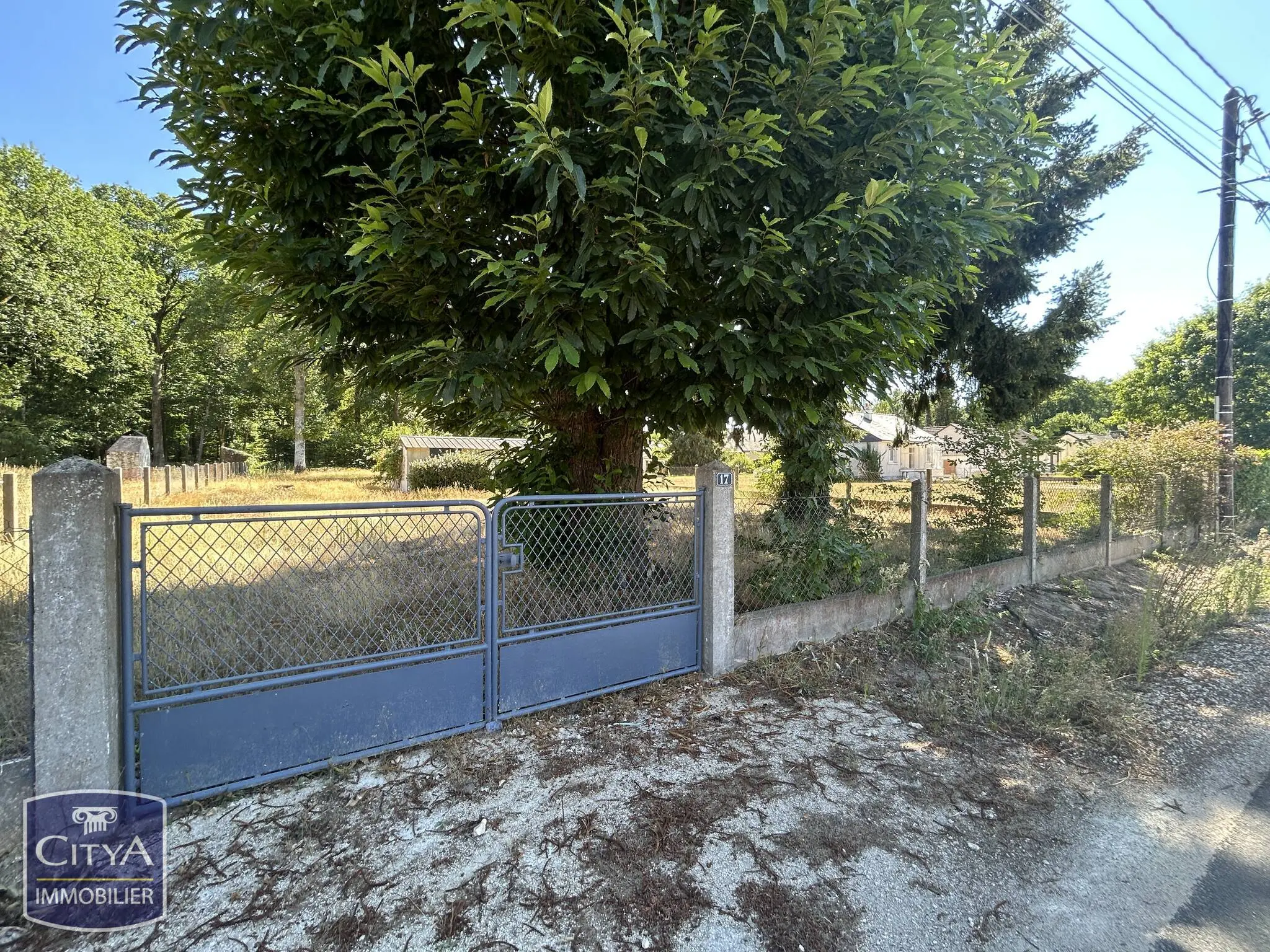 Photo 2 Terrain