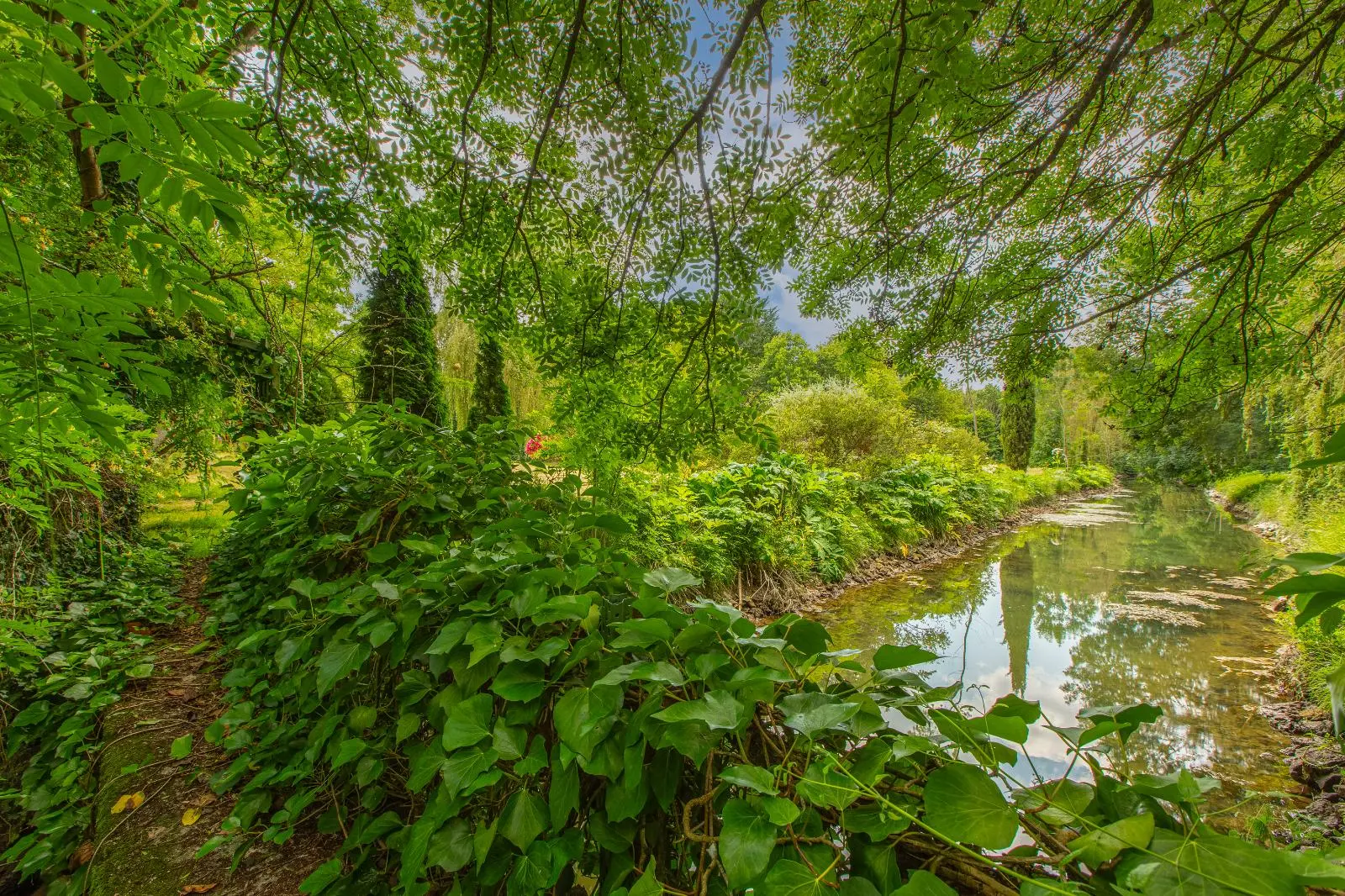 Photo 4 Maison 5 pièces 205m²