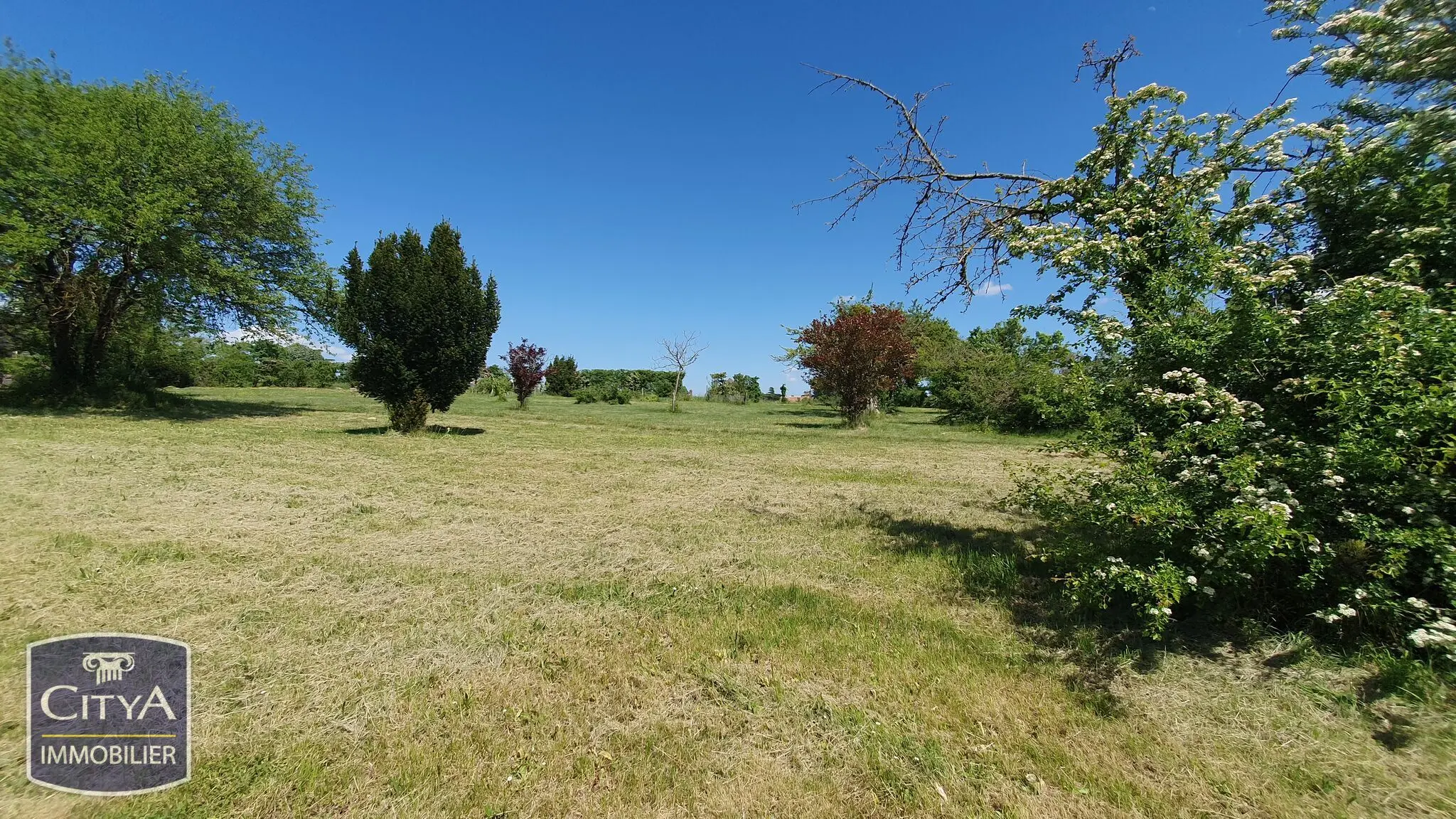 Photo 8 Terrain