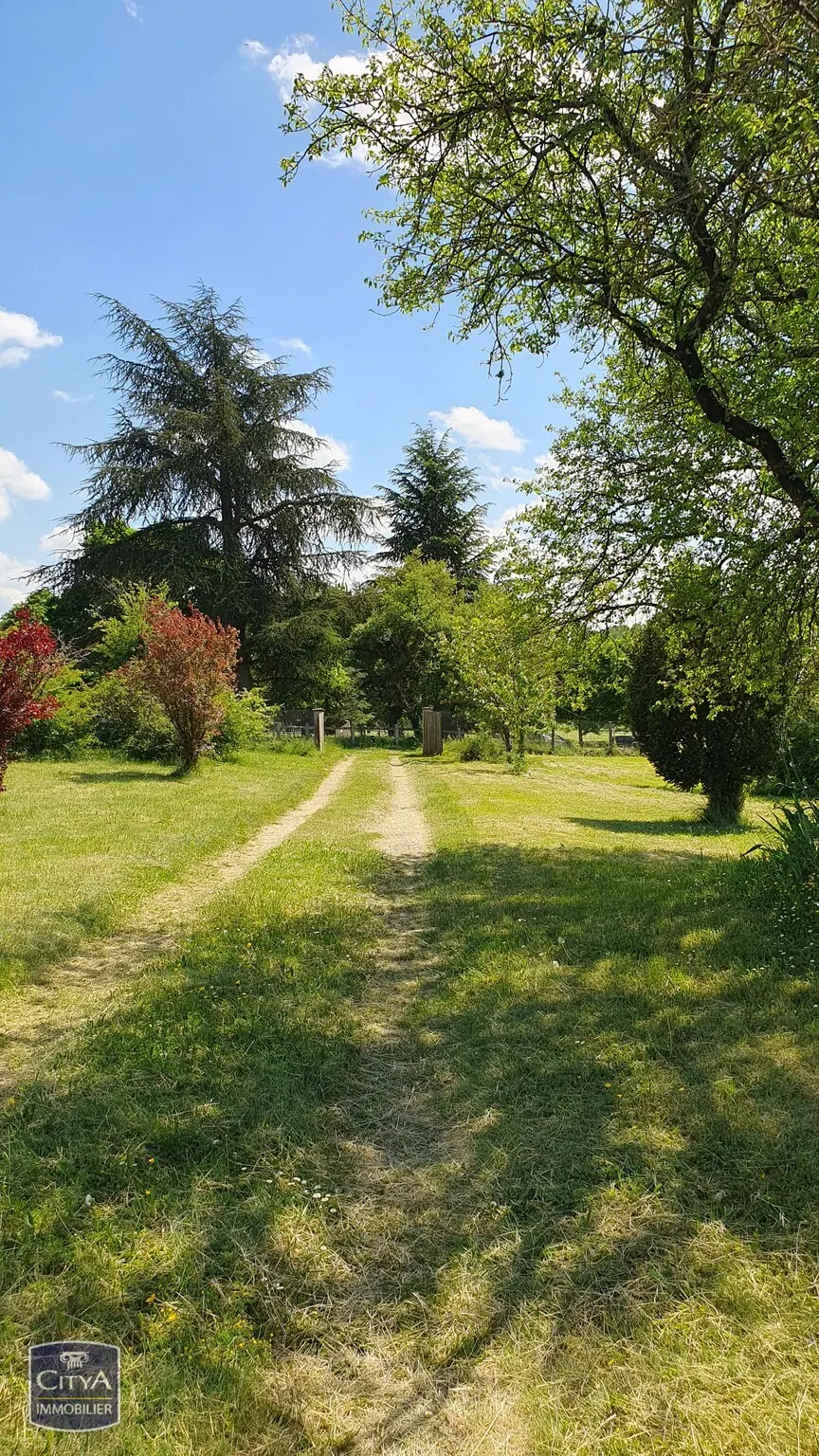 Photo 11 Terrain