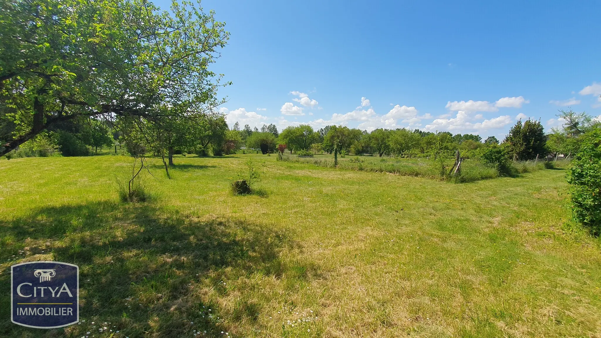 Photo 3 Terrain