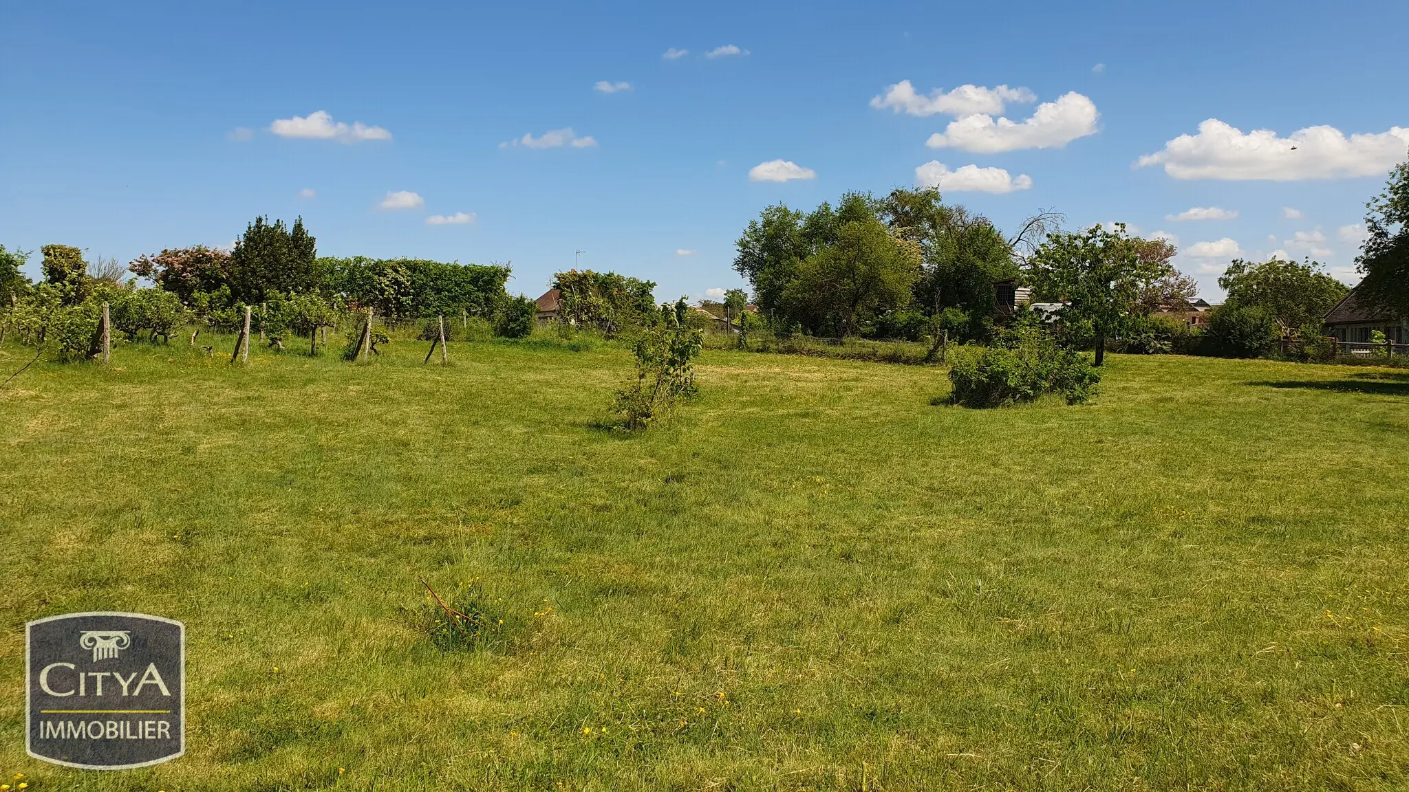 Photo 14 Terrain