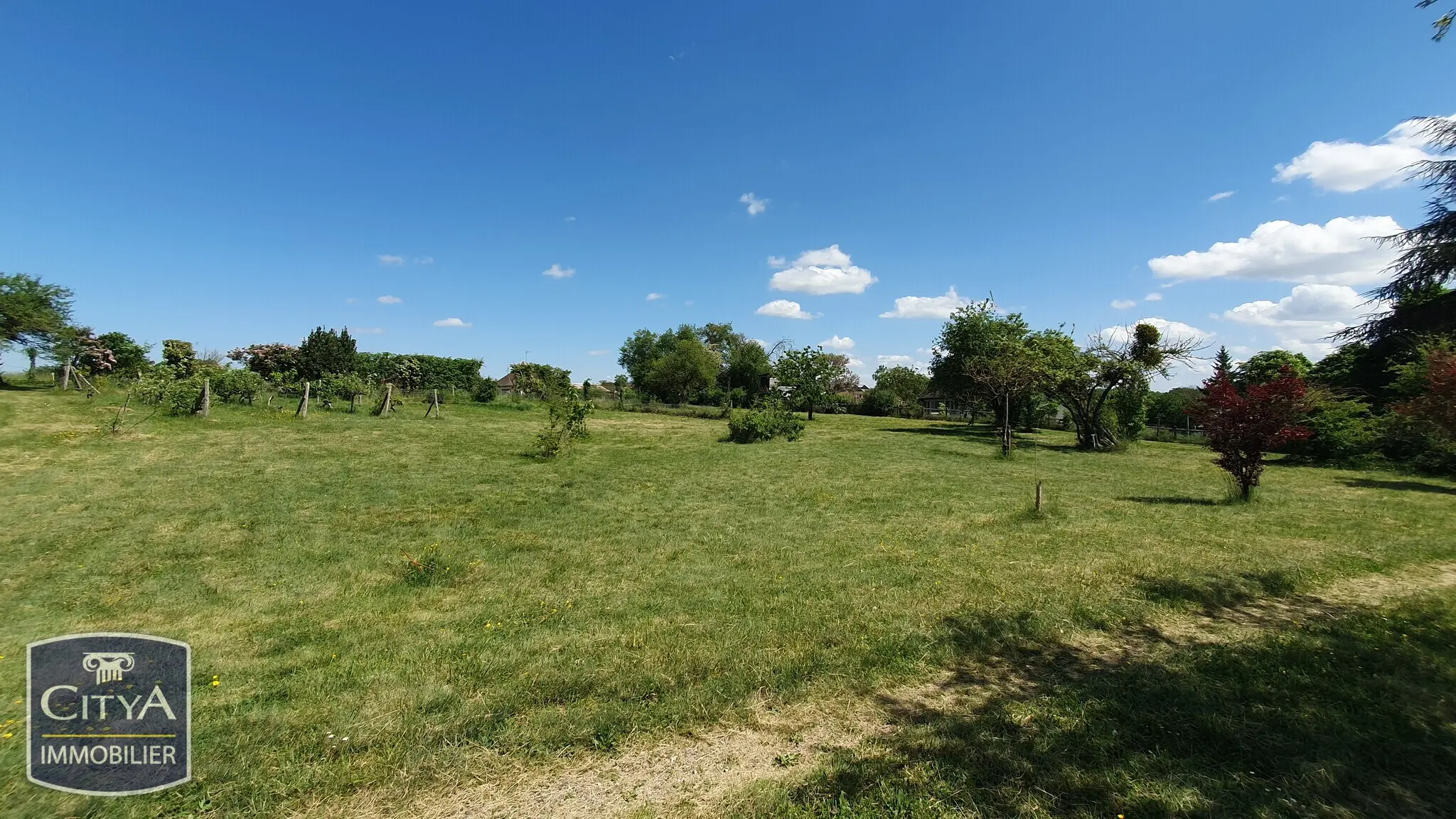 Photo 6 Terrain