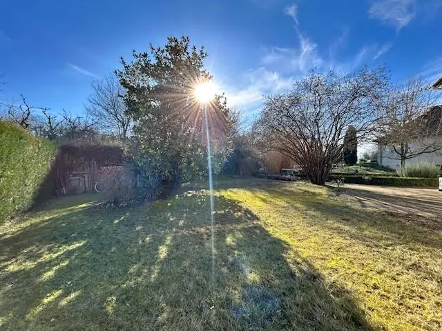 Photo 6 maison Vineuil