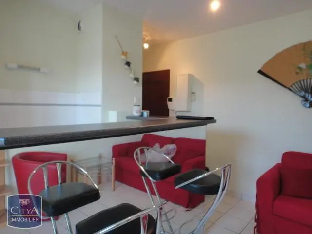 Photo 1 Appartement 1 pièce 28.2m²