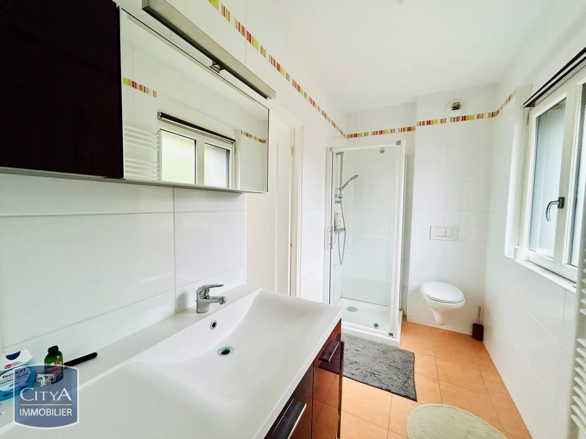 Photo 20 Maison 13 pièces 393m²