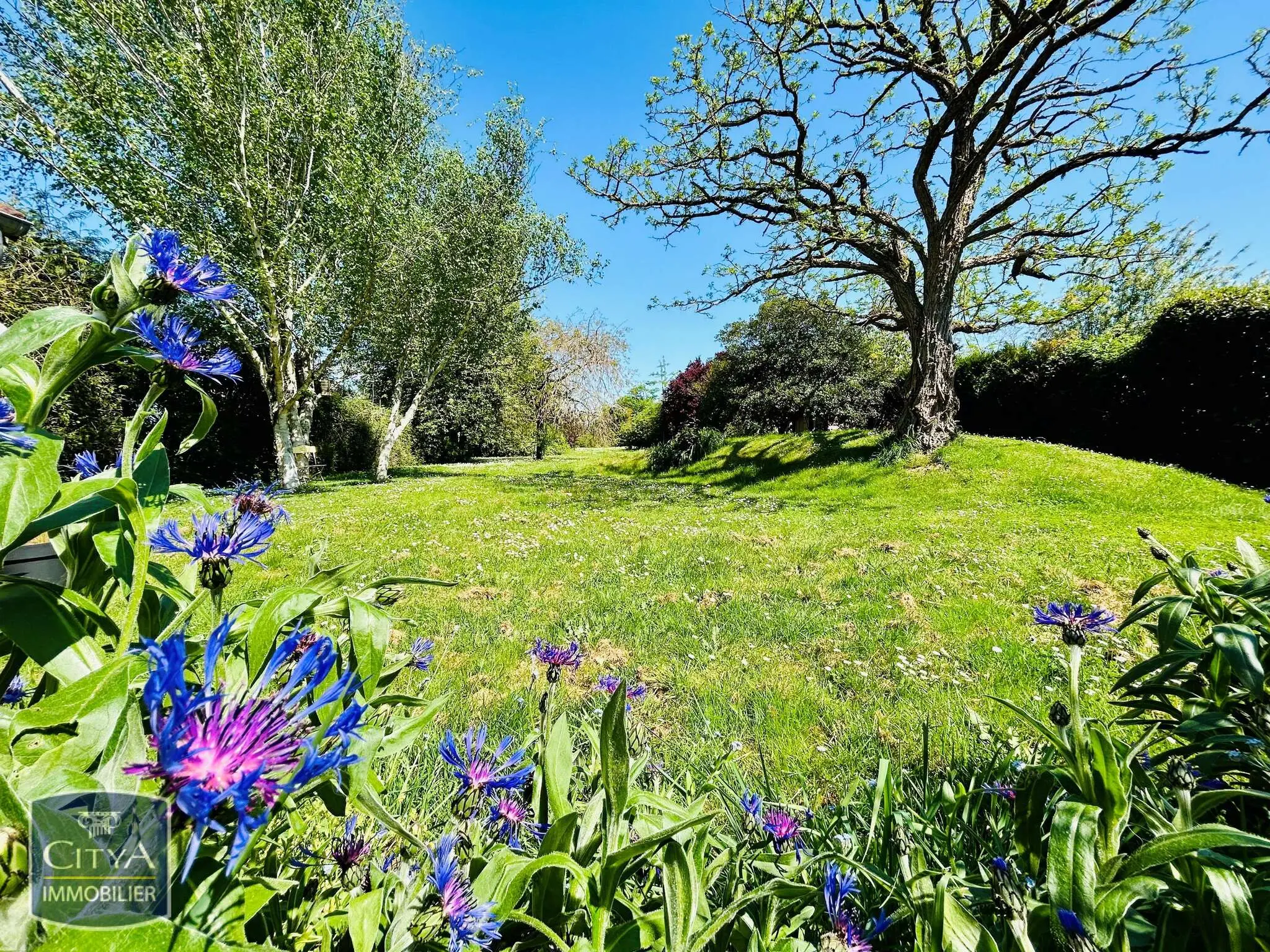 Photo 13 Maison 9 pièces 220m²