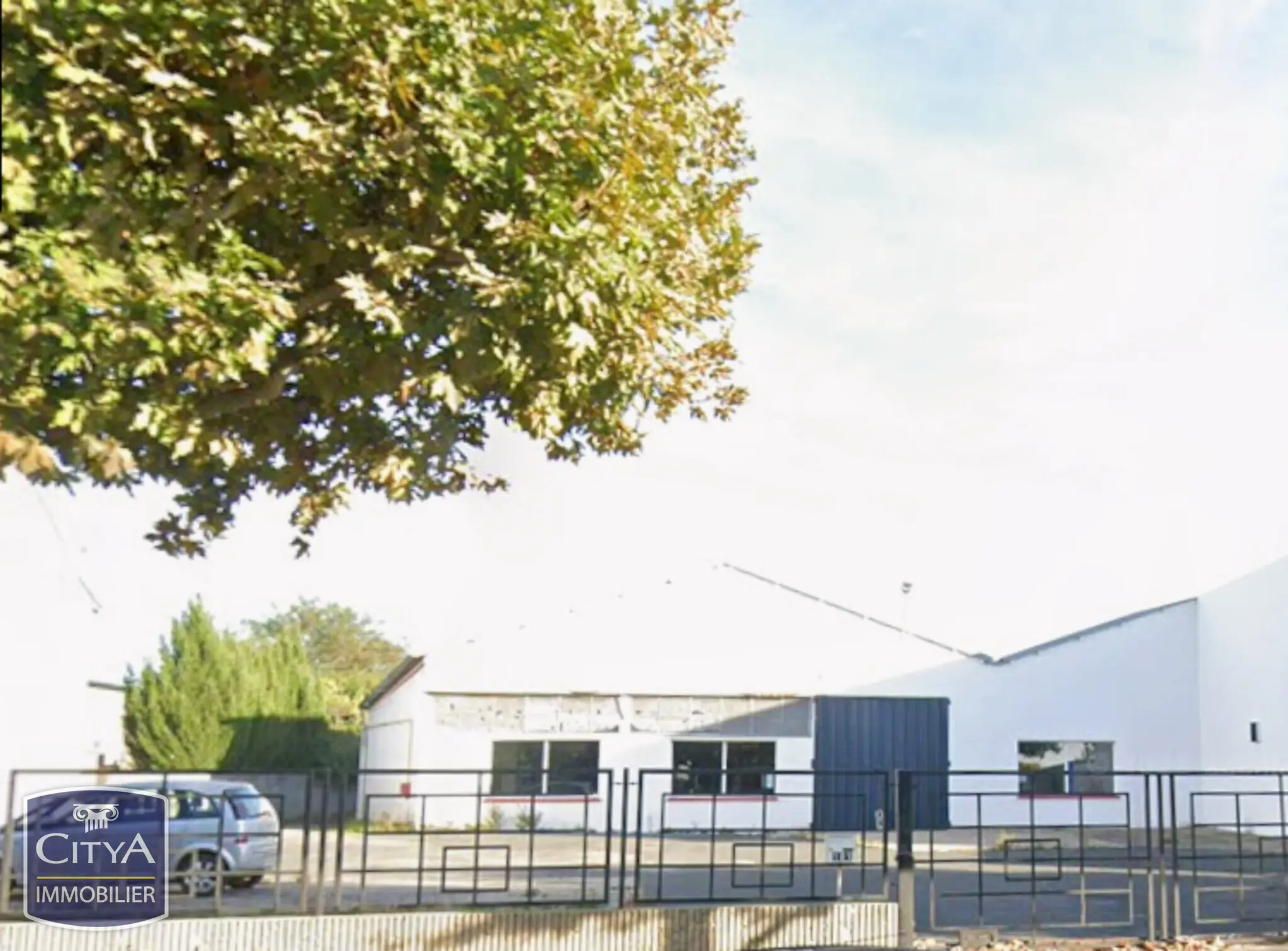 Photo 2 Local Professionnel 1603m²