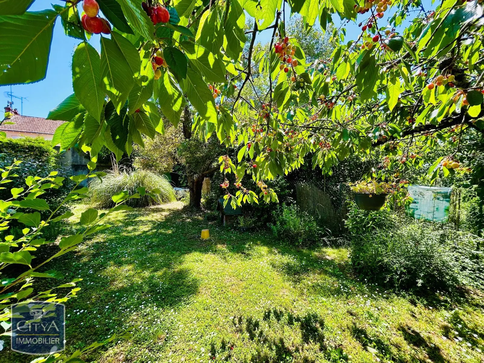 Photo 15 maison Châteauroux
