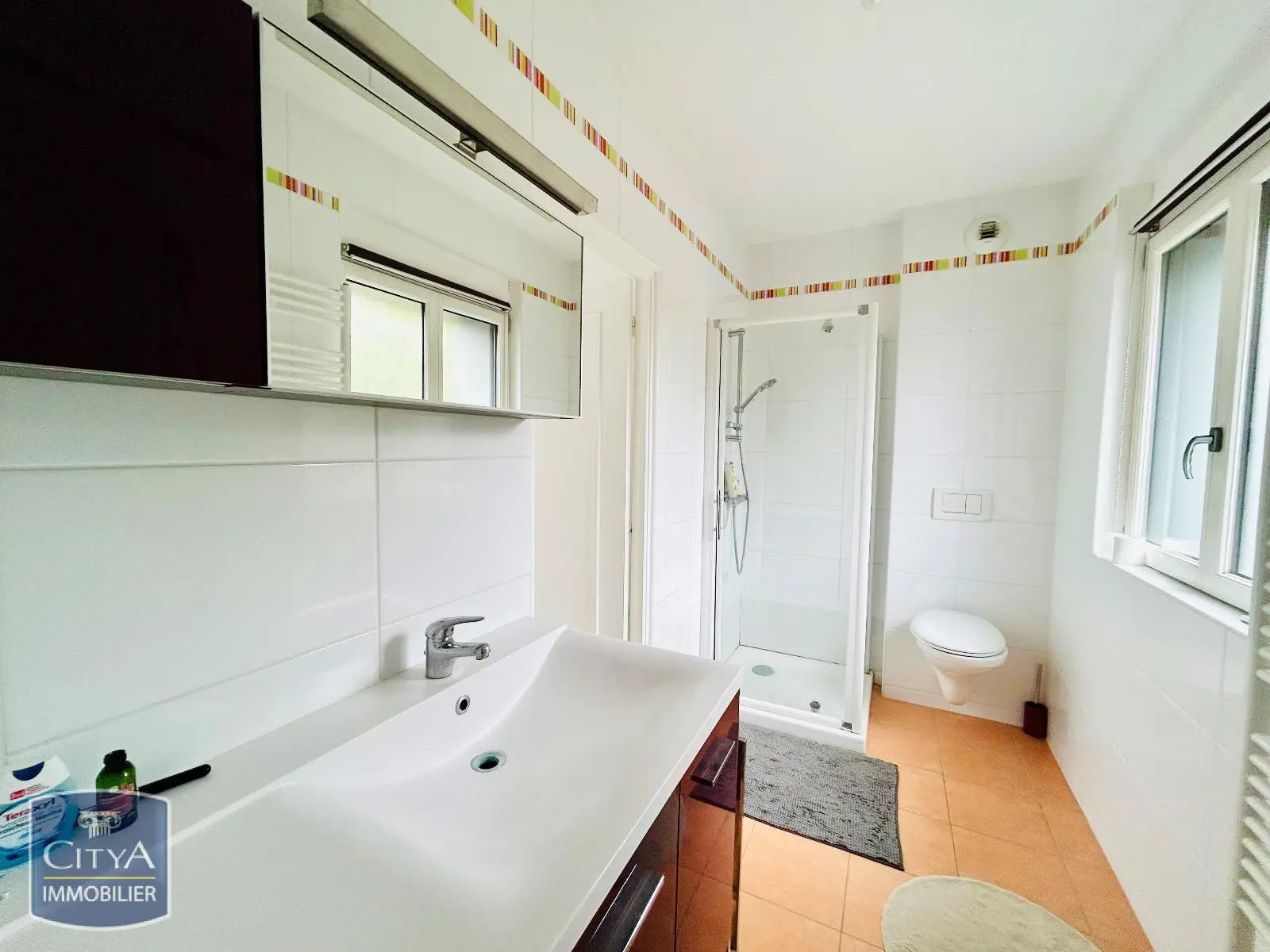 Photo 20 Maison 13 pièces 393m²
