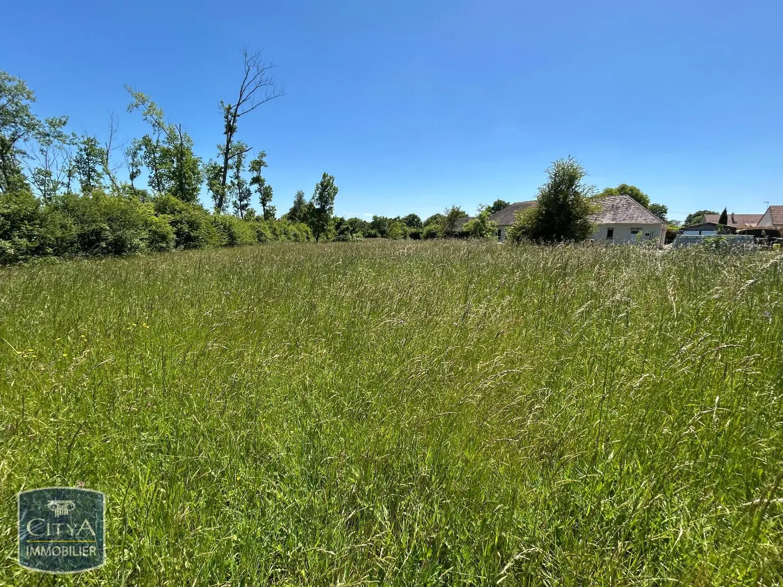 Photo 3 Terrain 4696m²