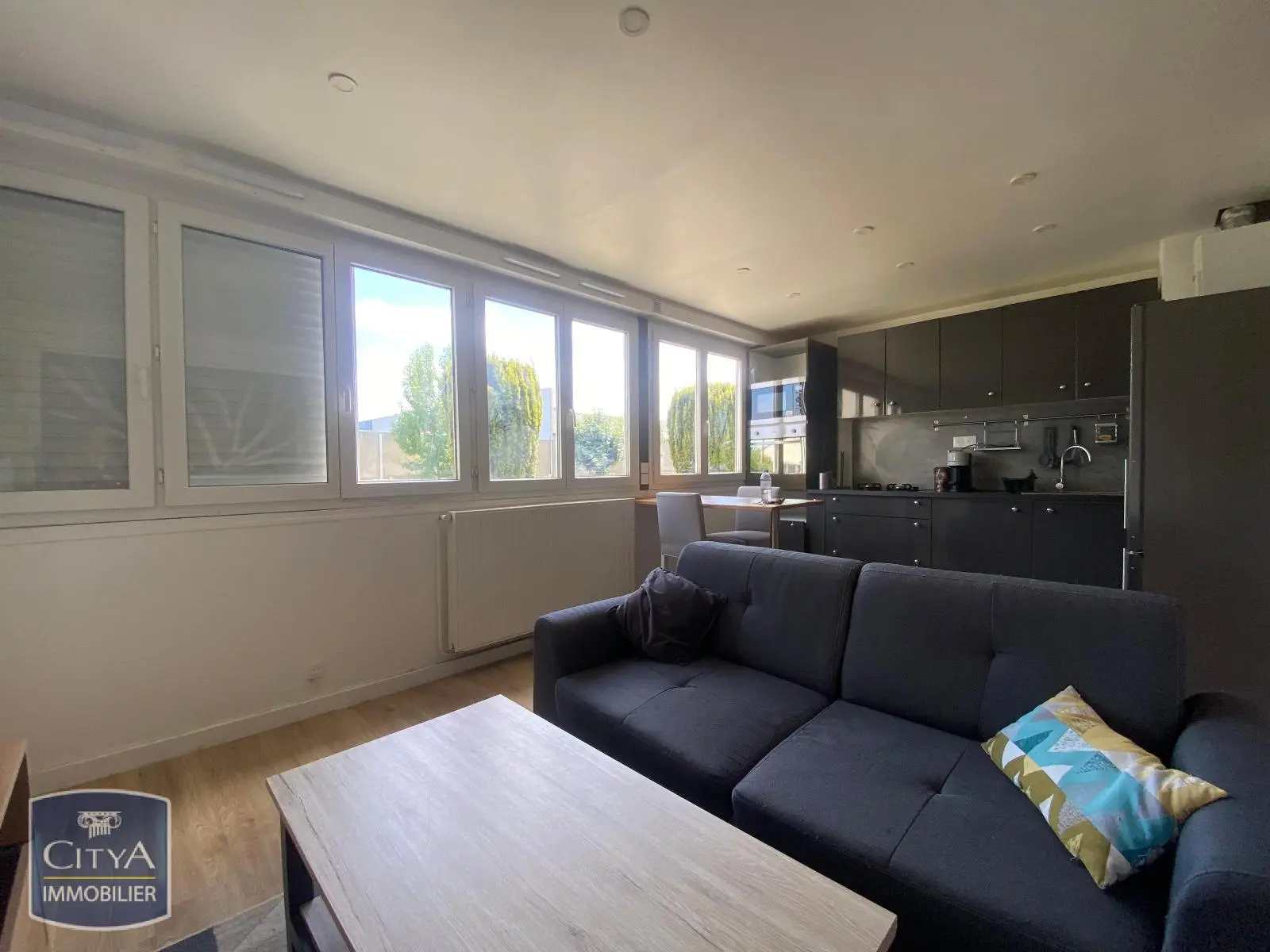 Photo 2 Appartement 1 pièce 30.2m²