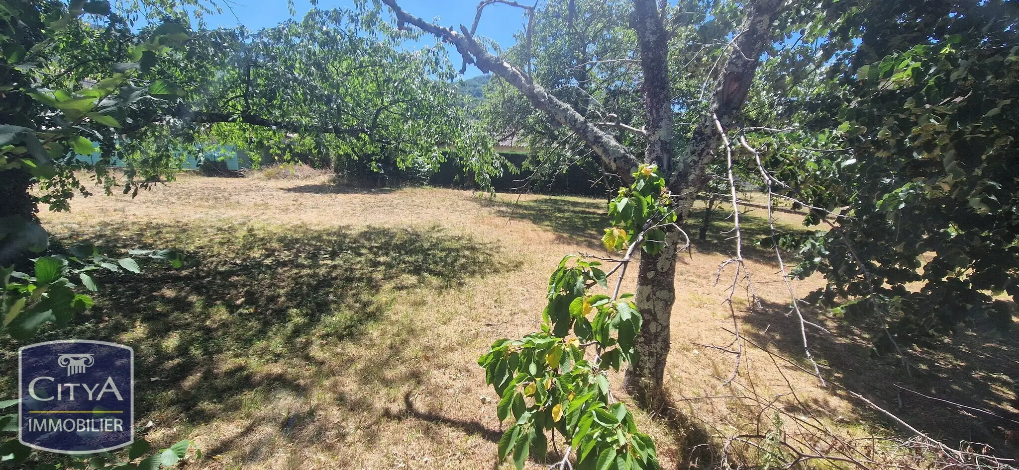 Photo 3 Terrain
