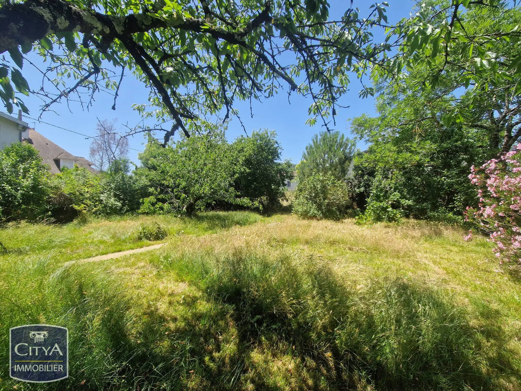 Photo 3 Terrain