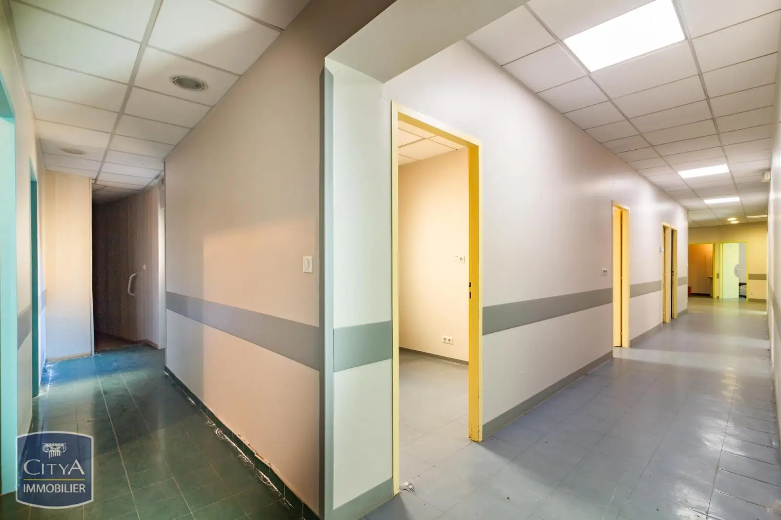 Photo 6 Local Professionnel 13 pièces 443m²