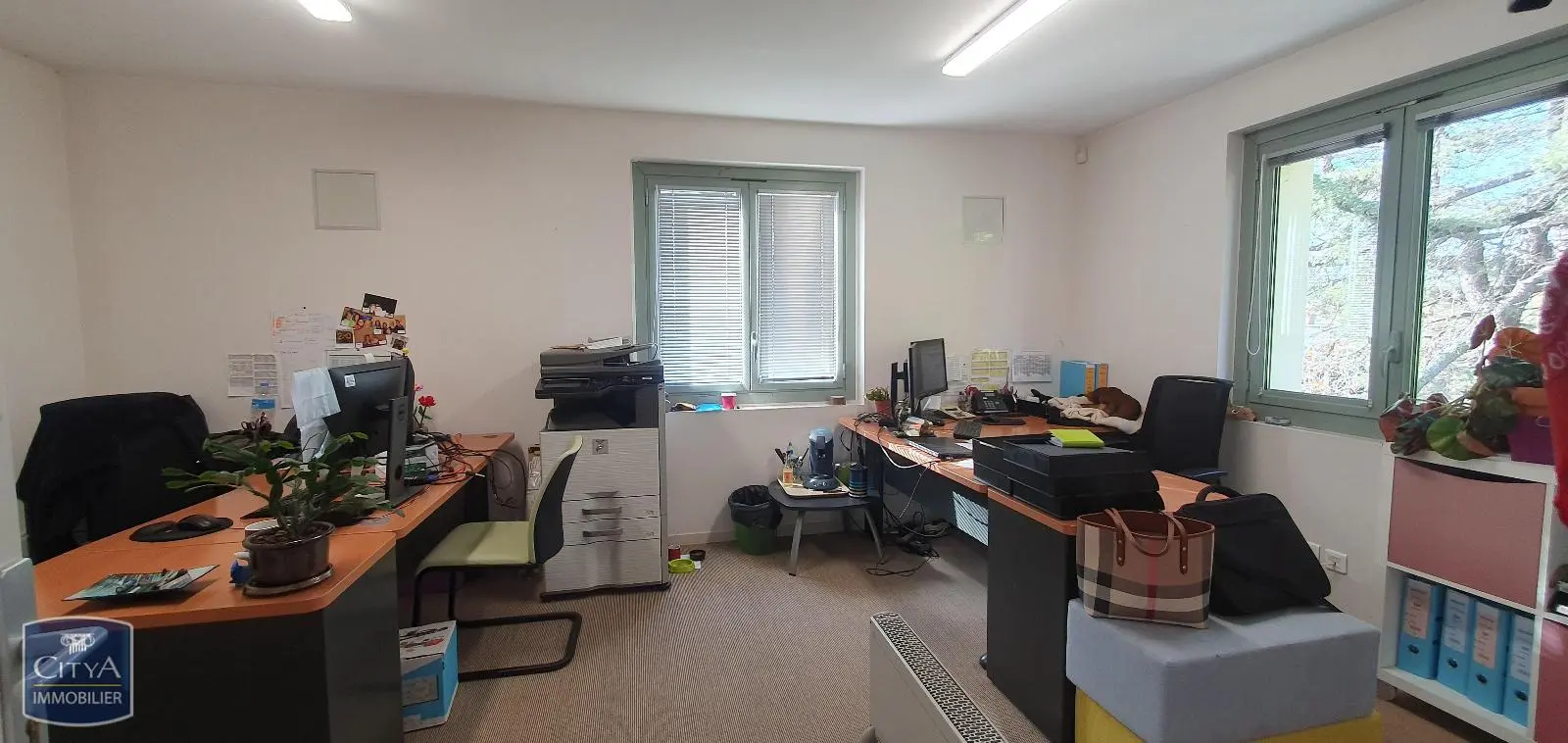 Photo 19 Local Commercial 739m²