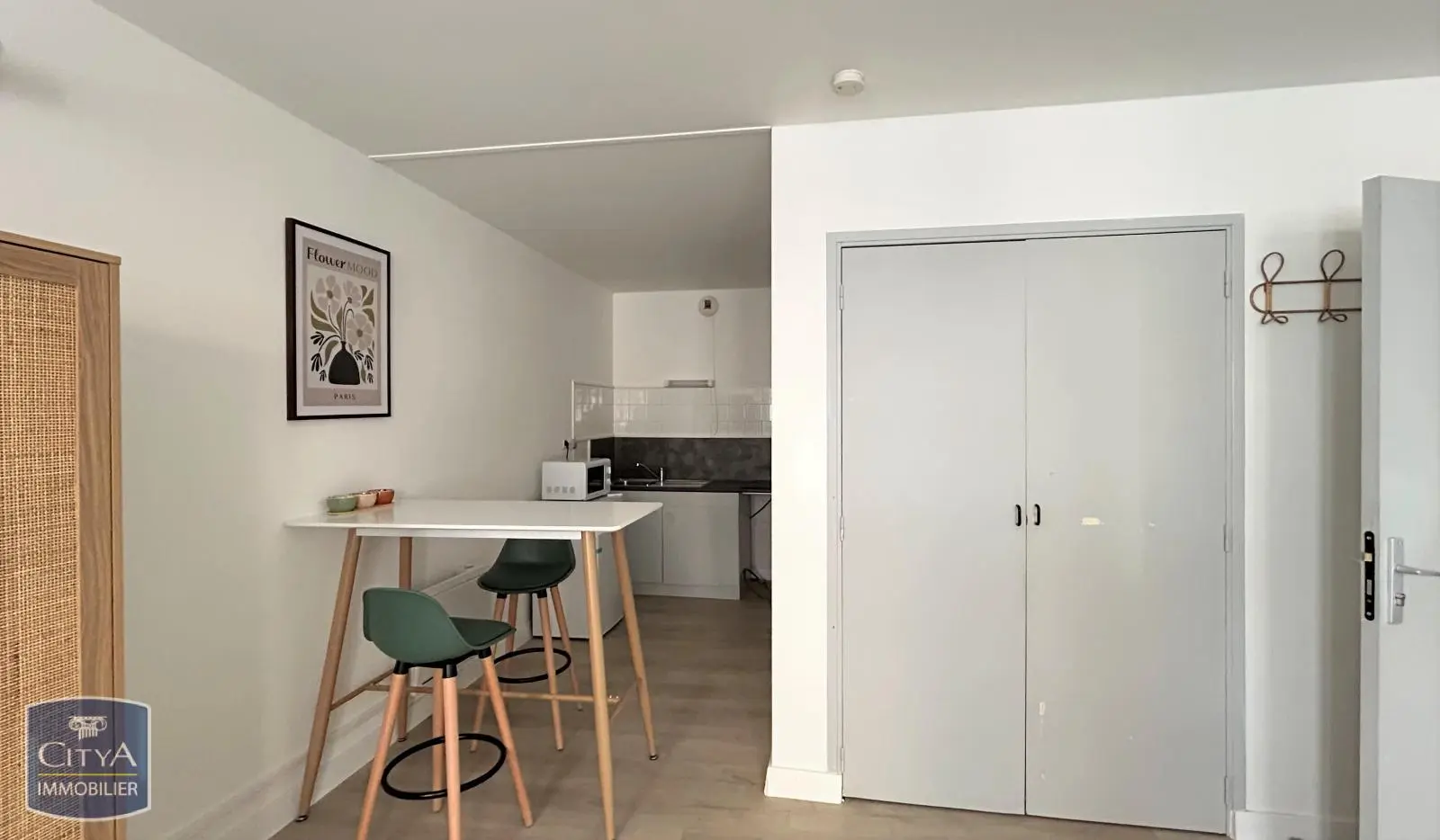 Photo 4 Appartement 1 pièce 30.01m²