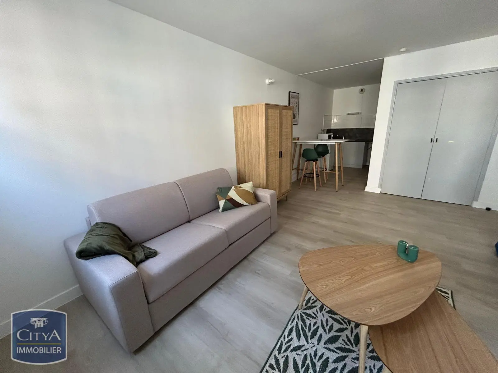 Photo 4 Appartement 1 pièce 30.01m²