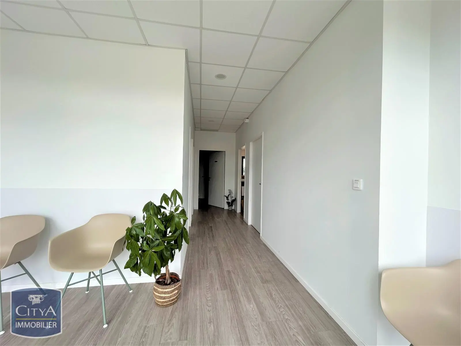 Photo 2 local professionnel Montauban