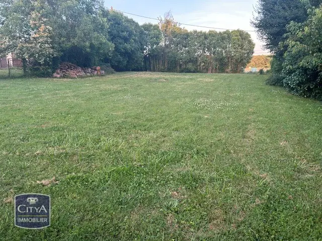 Photo 3 Terrain