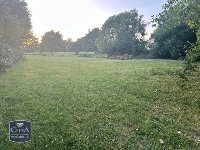 Photo 4 Terrain
