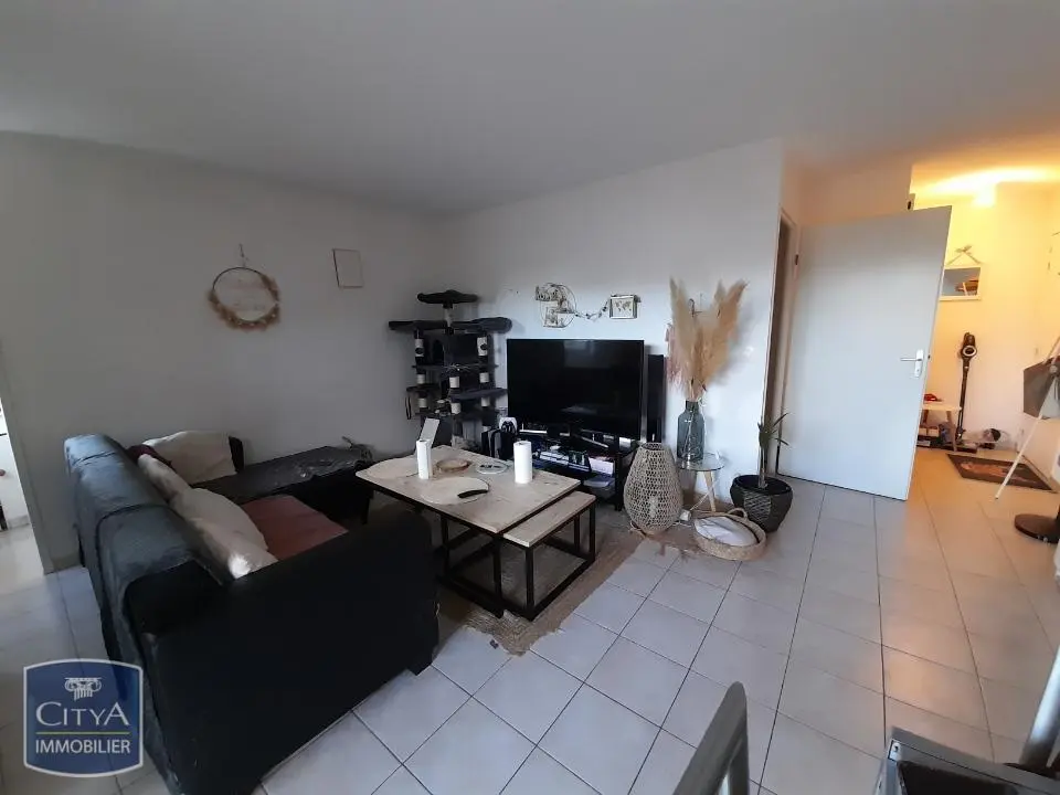 t2 appartement albi location