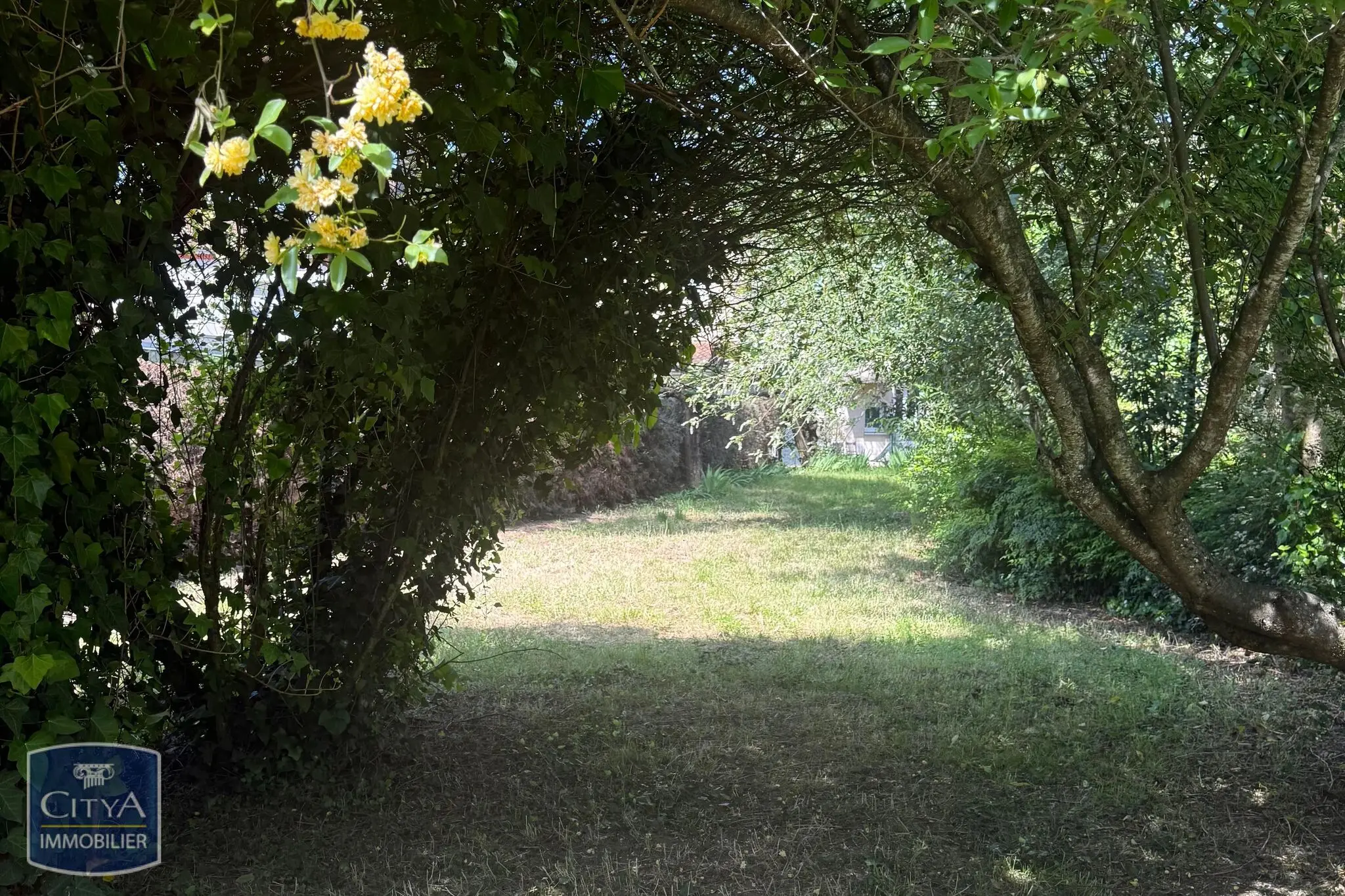 Photo 3 Terrain