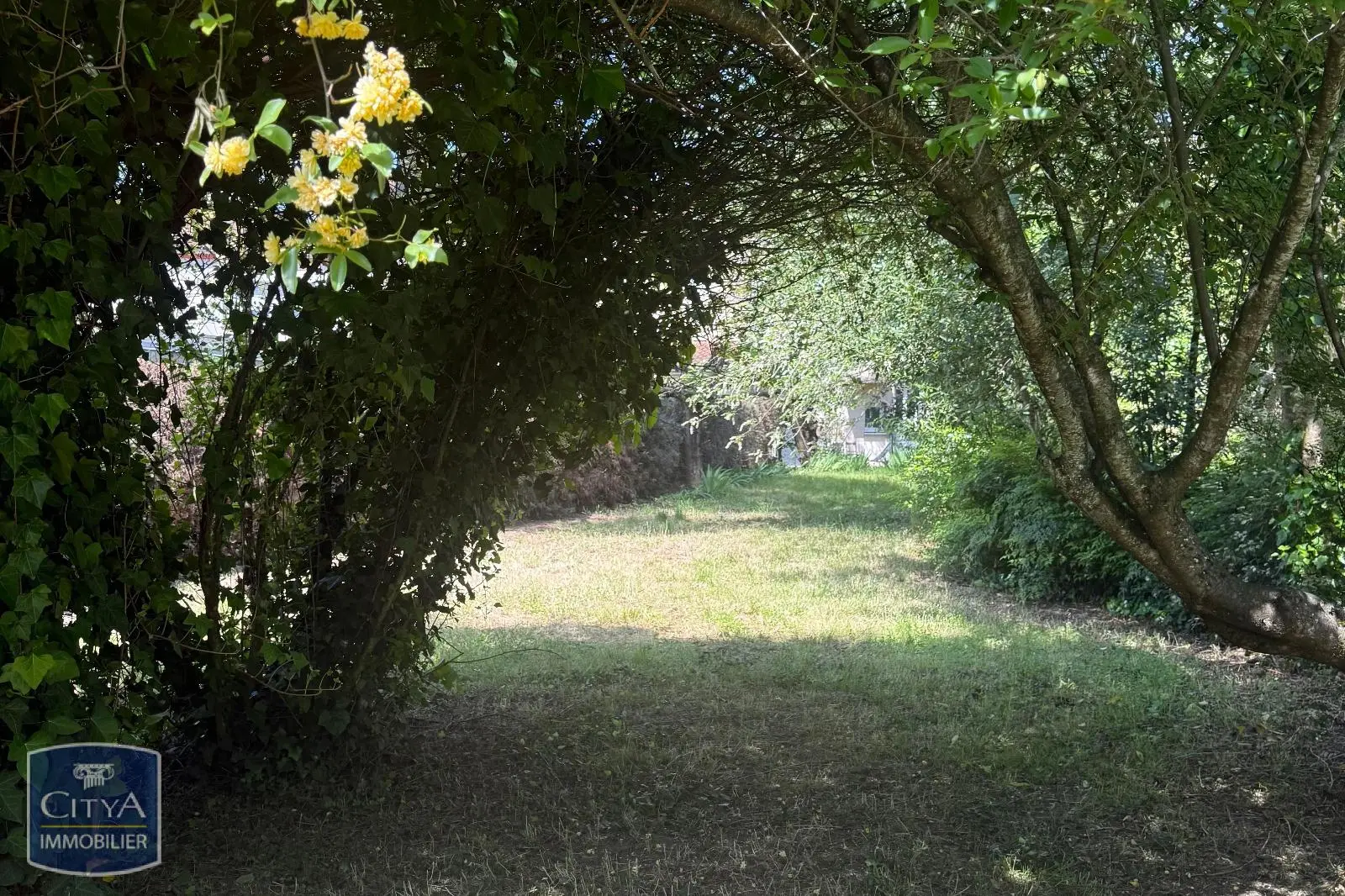 Photo 3 Terrain 649m²